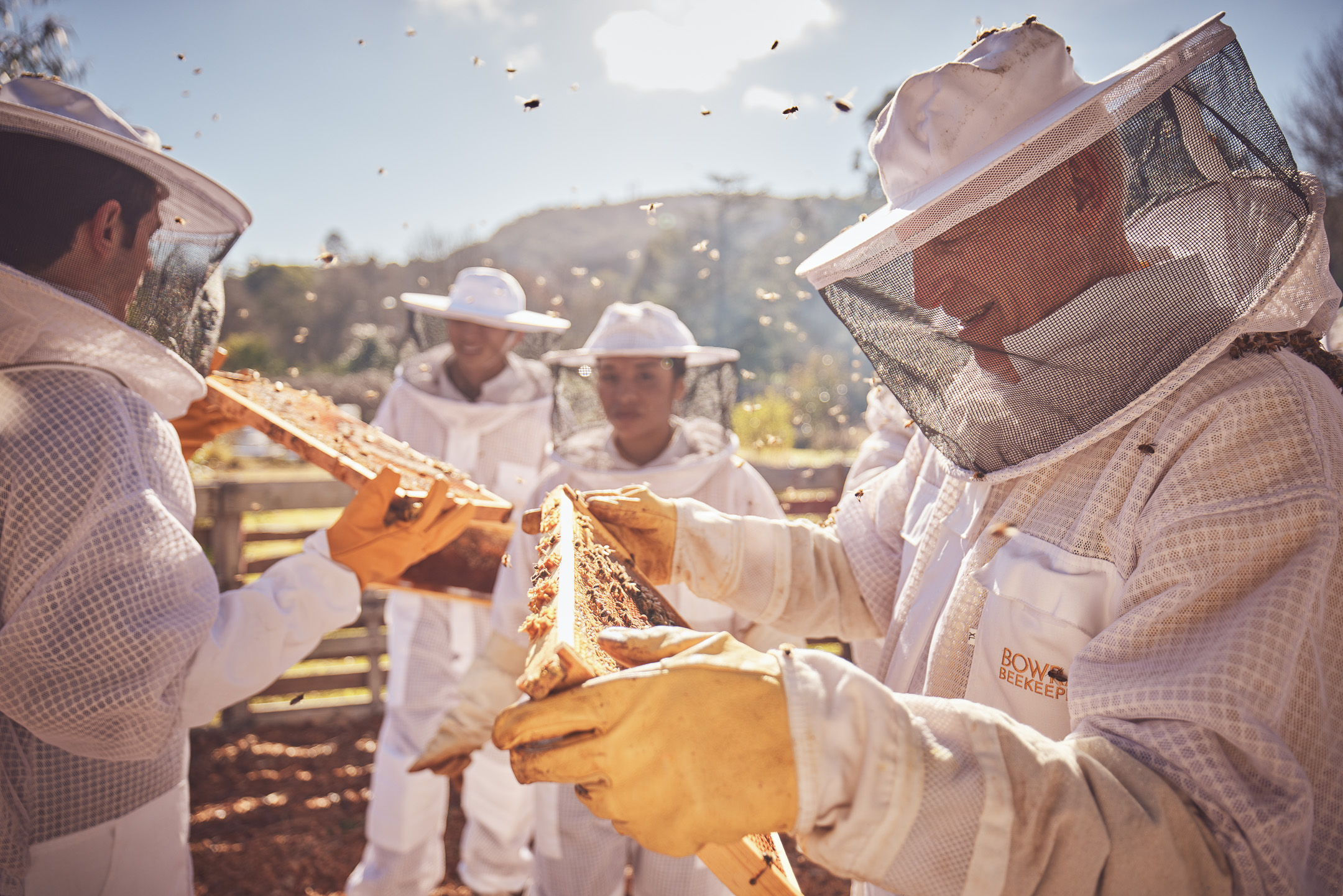 Honey & Hive. Open a hive, honey tasting with morning tea