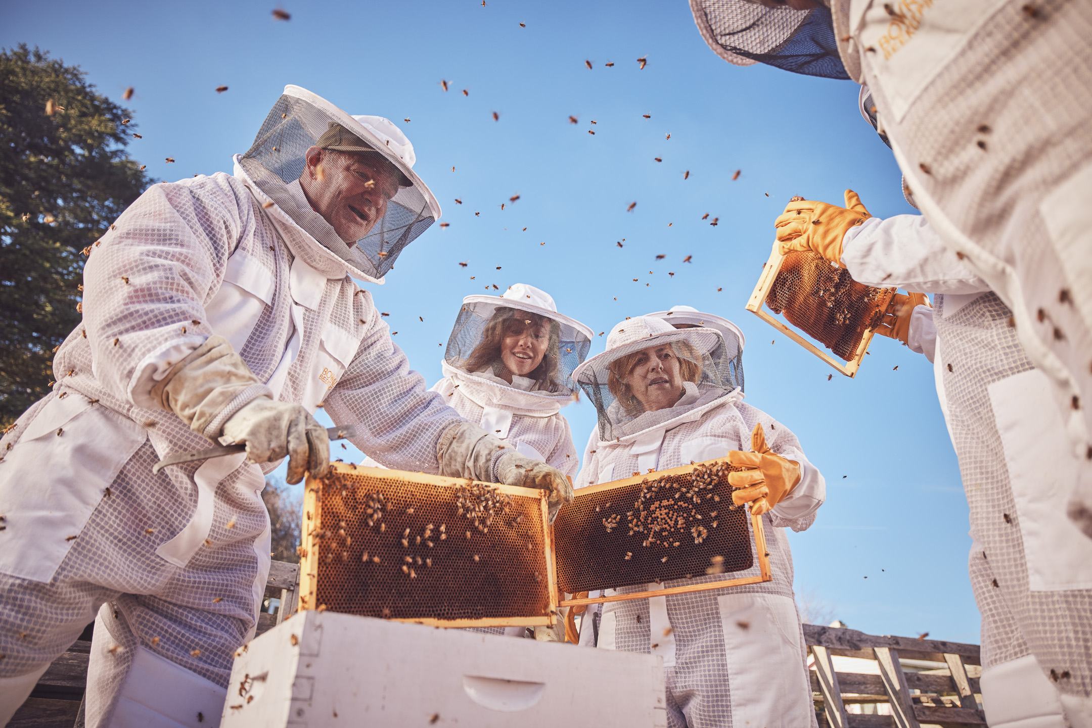 Honey & Hive. Open a hive, honey tasting with morning tea