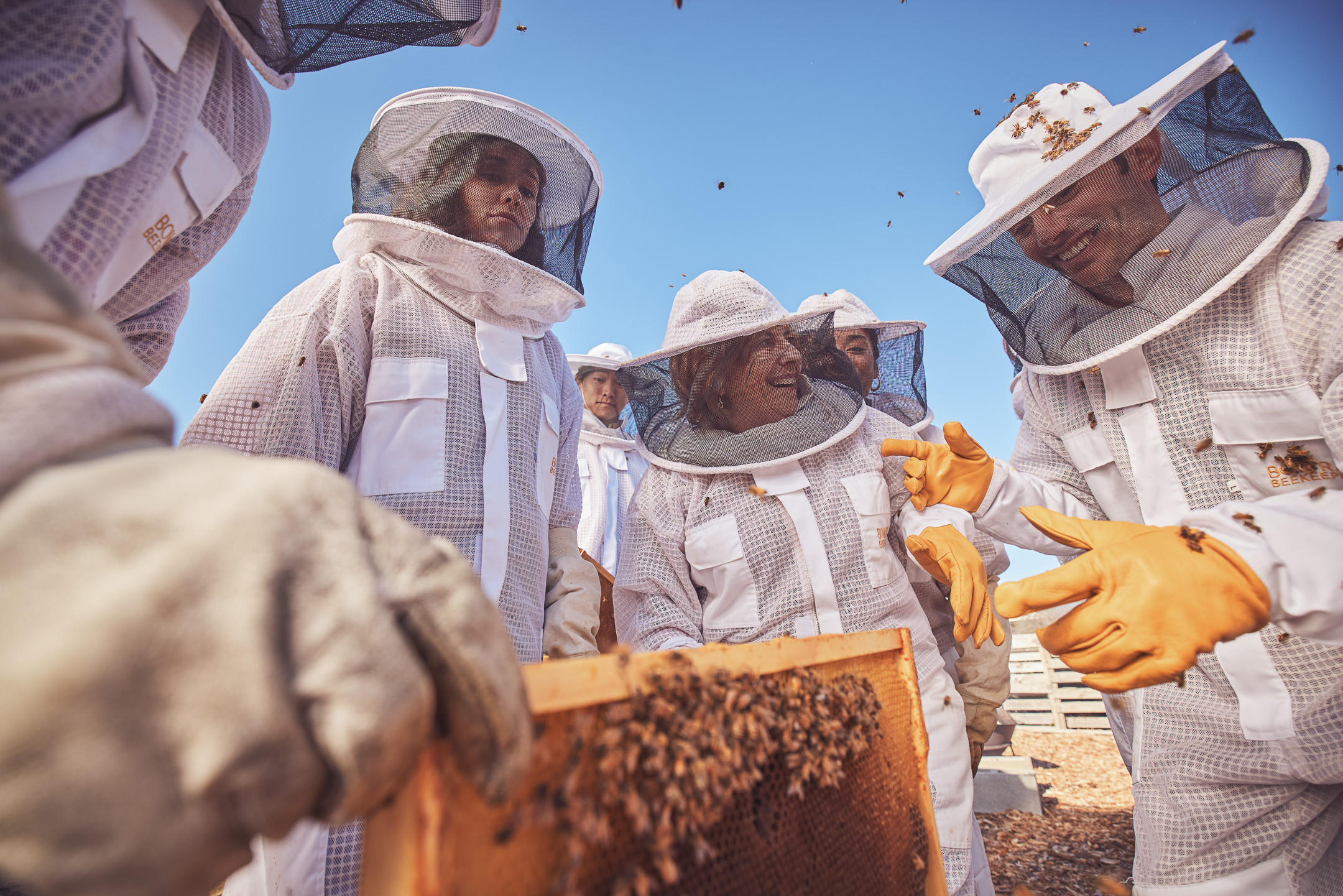 Honey & Hive. Open a hive, honey tasting with morning tea