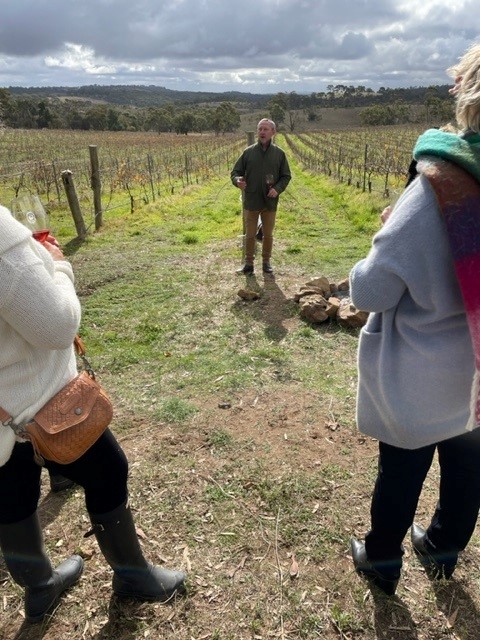 Bourke & Travers |  Terroir in the Vineyard Tour