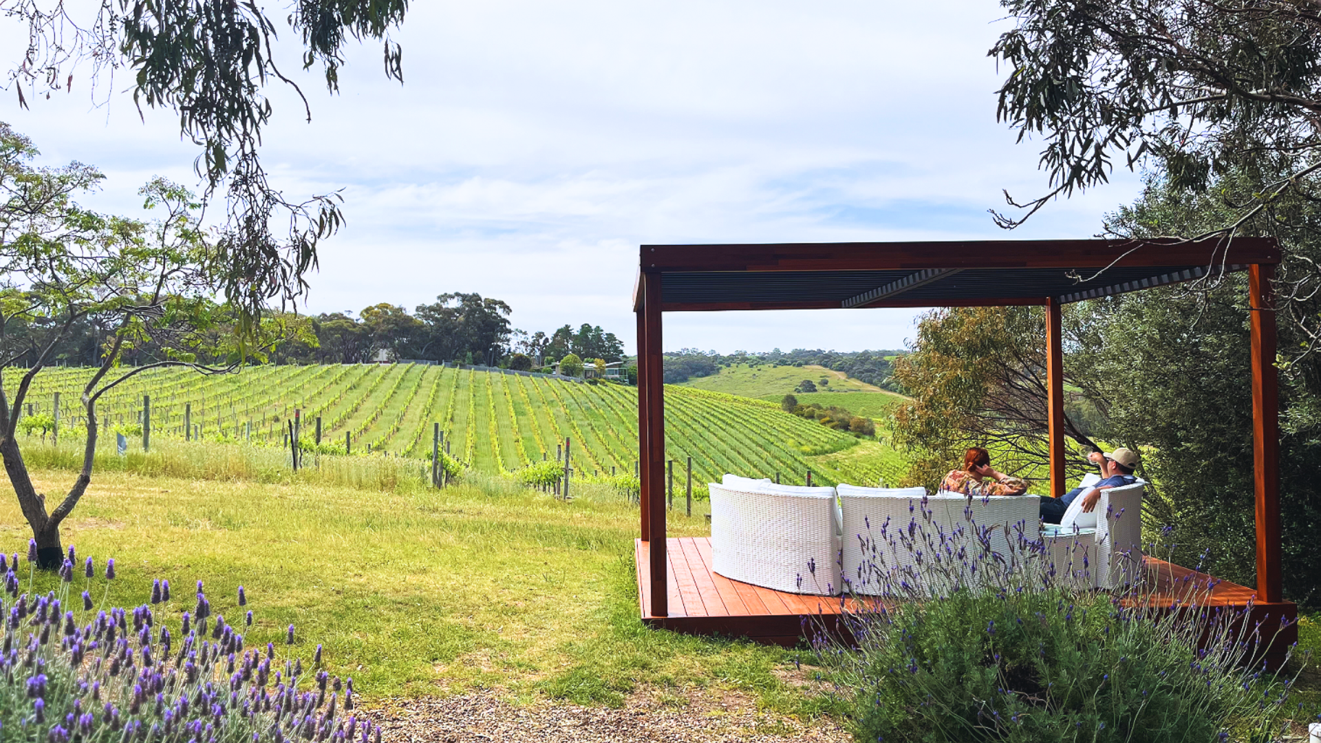 Classic Cellar Door Tasting