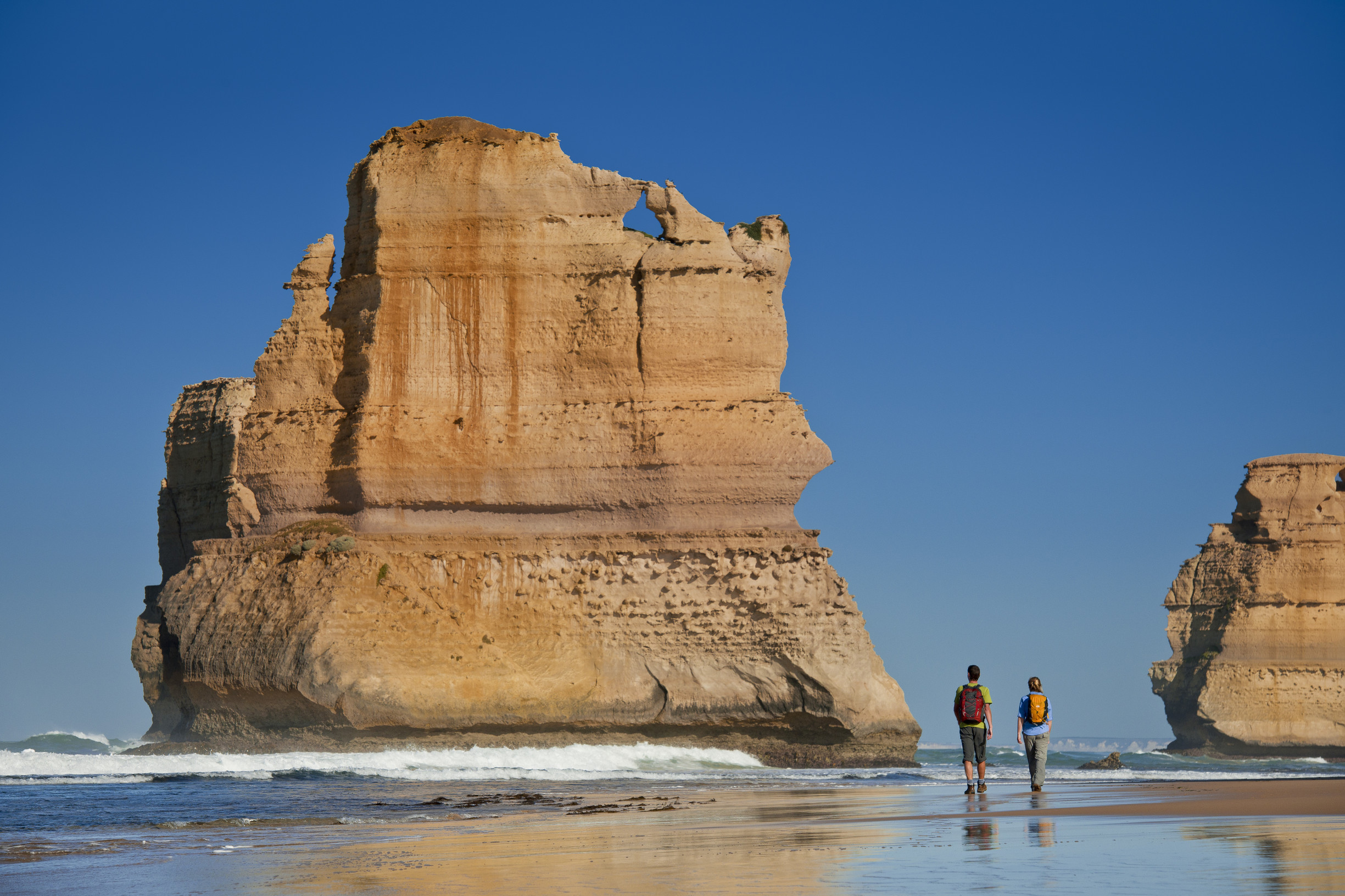 Great Ocean Road Foodies Tour with Chocolates, Gin, Oysters and  Koalas!