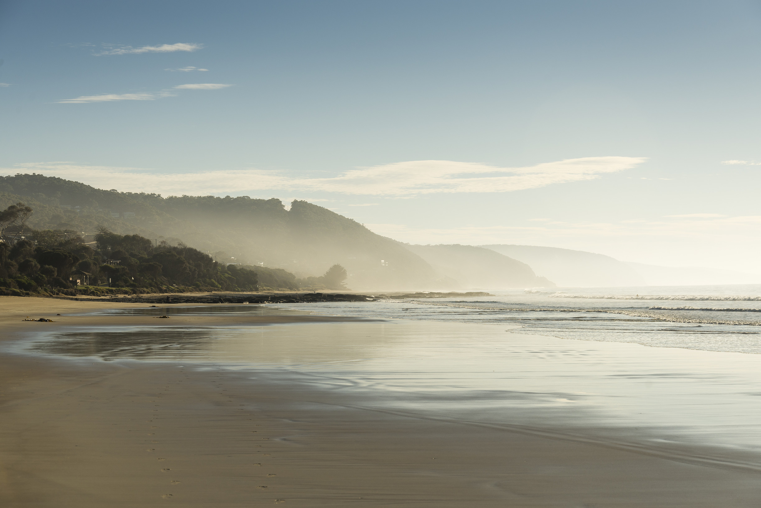 Great Ocean Road Foodies Tour with Chocolates, Gin, Oysters and  Koalas!