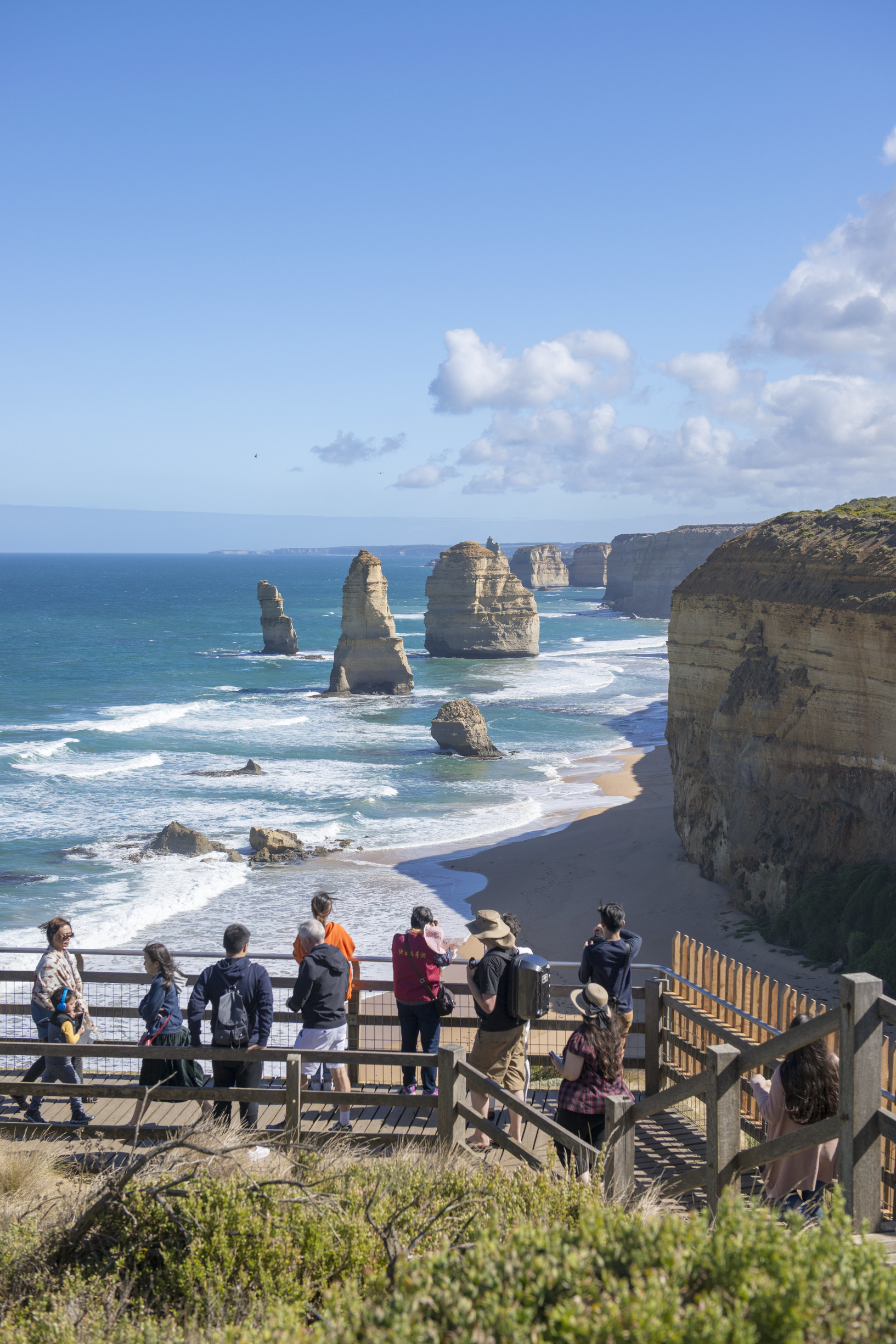 Great Ocean Road Foodies Tour with Chocolates, Gin, Oysters and  Koalas!