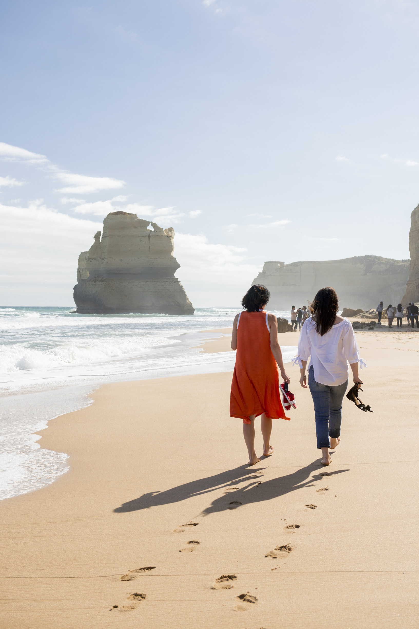 Great Ocean Road Foodies Tour with Chocolates, Gin, Oysters and  Koalas!