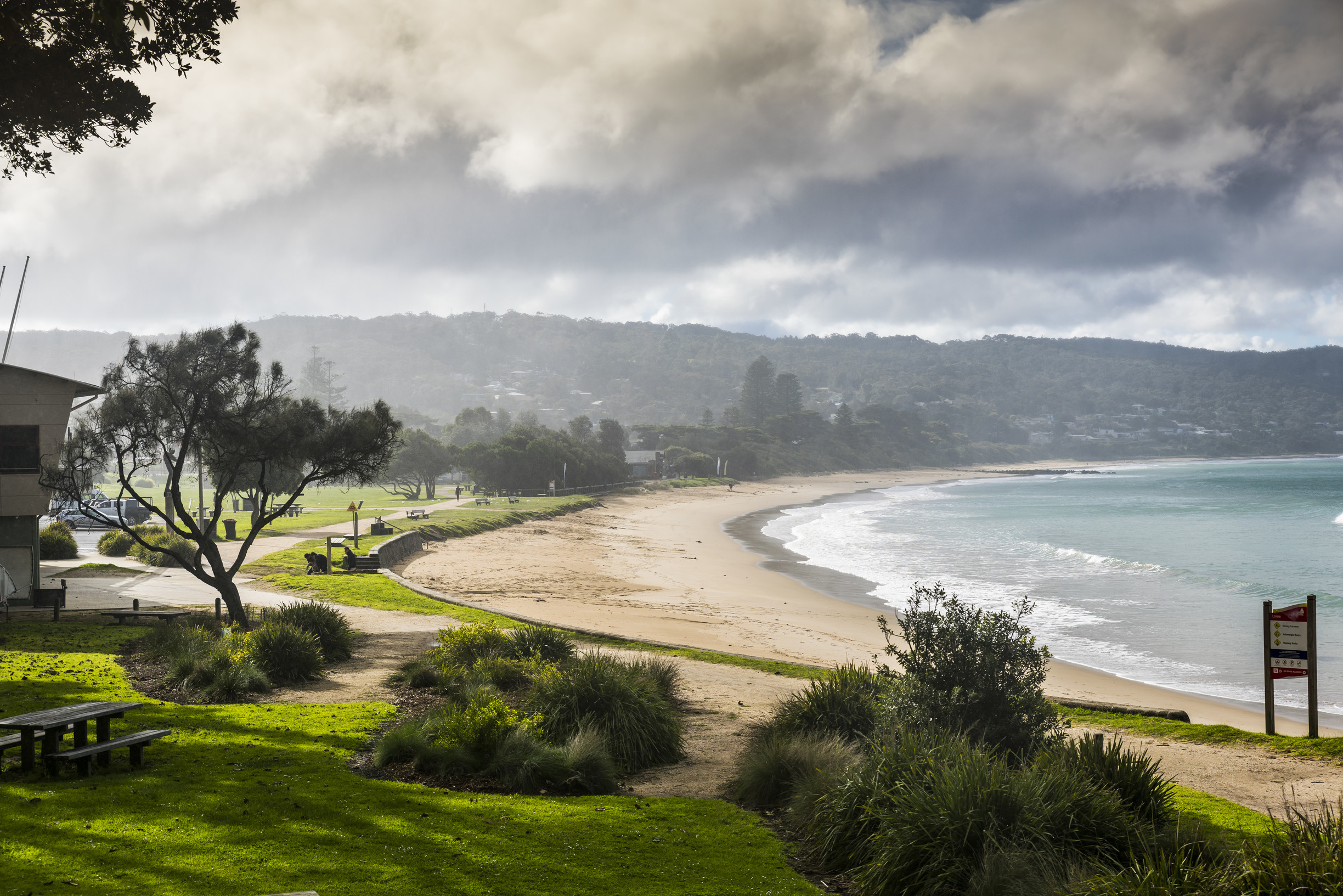 Great Ocean Road Foodies Tour with Chocolates, Gin, Oysters and  Koalas!