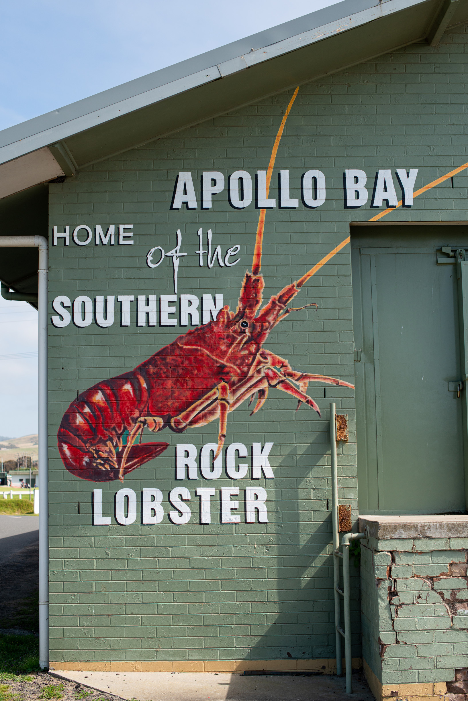 Great Ocean Road Foodies Tour with Chocolates, Gin, Oysters and  Koalas!