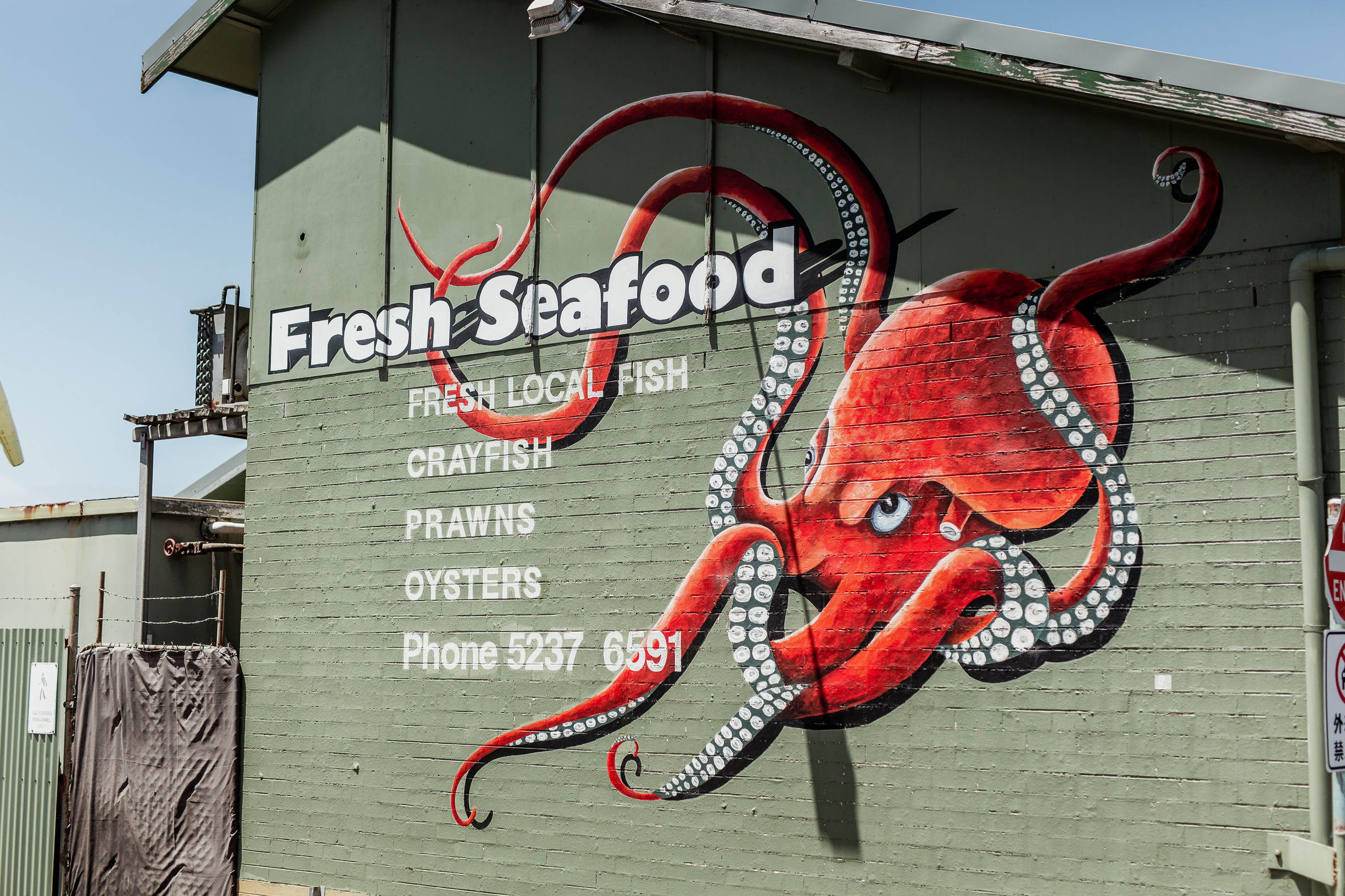 Great Ocean Road Foodies Tour with Chocolates, Gin, Oysters and  Koalas!