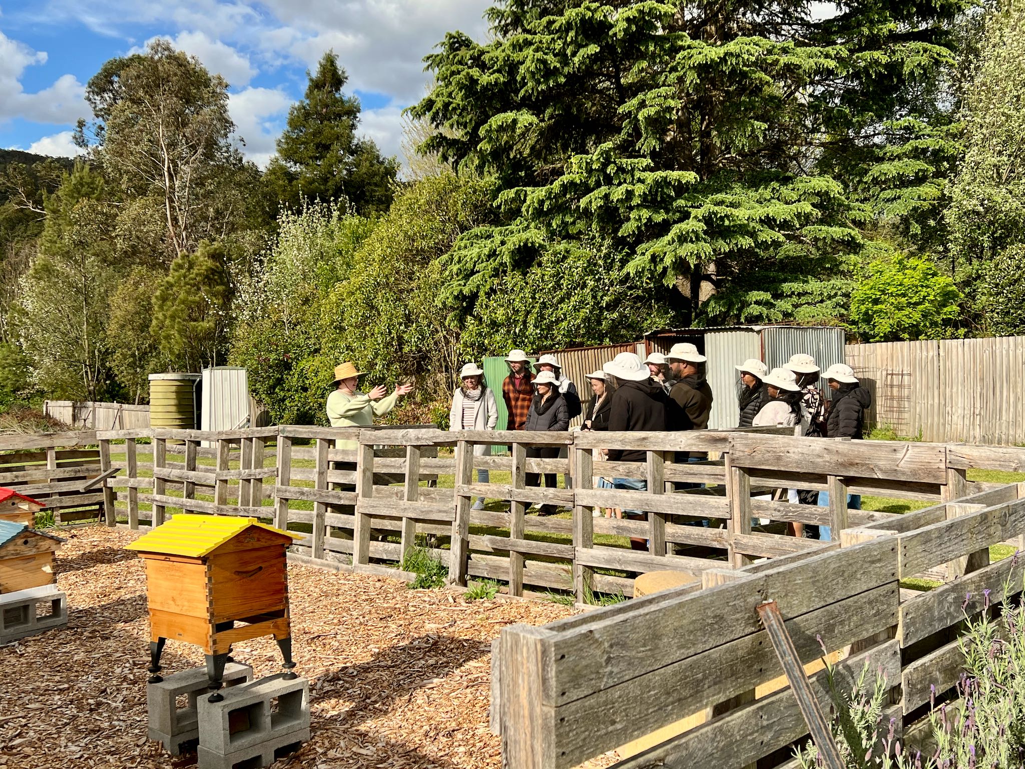 Honey Farm Tour and Honey Tasting