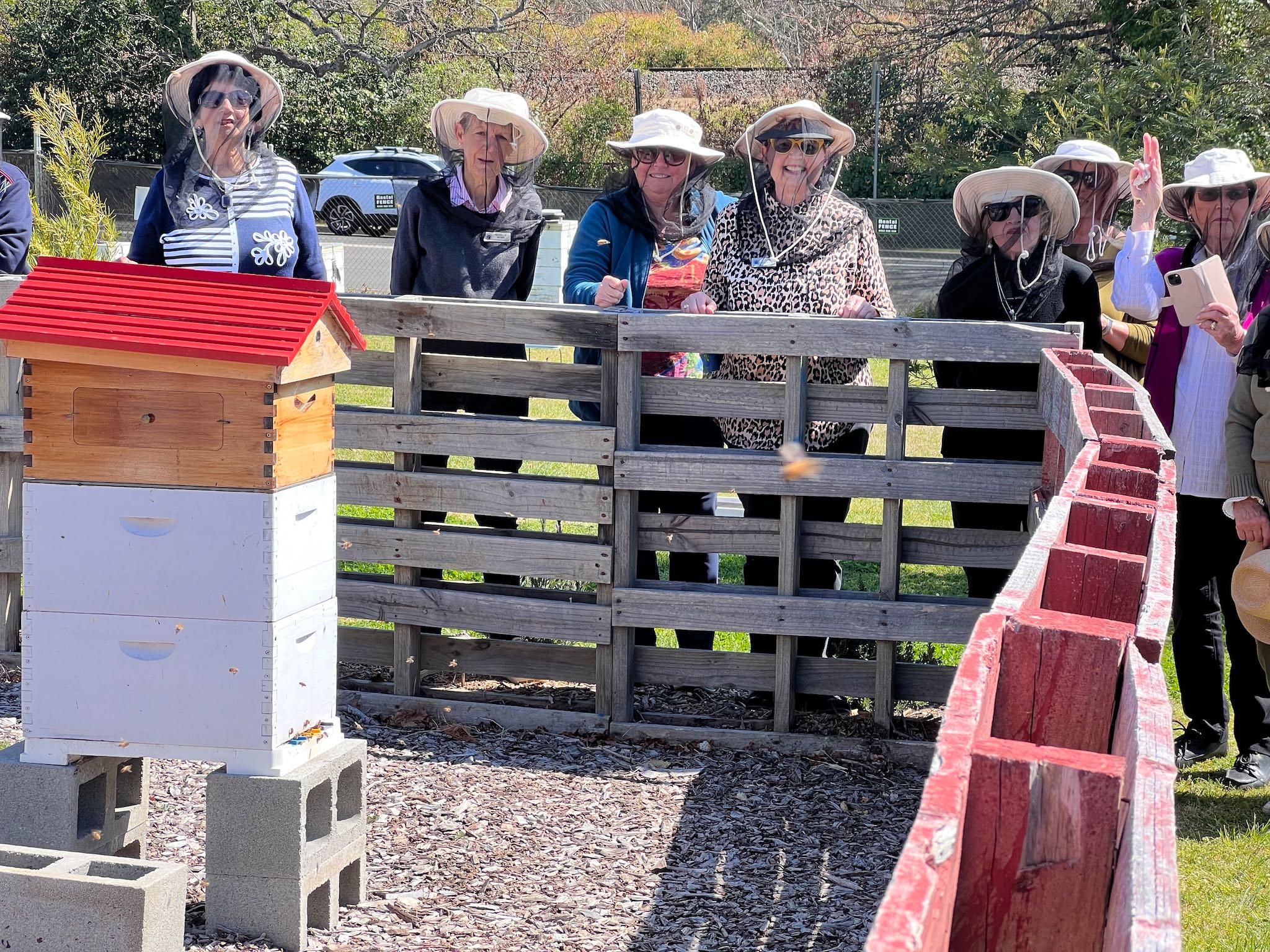 Honey Farm Tour and Honey Tasting