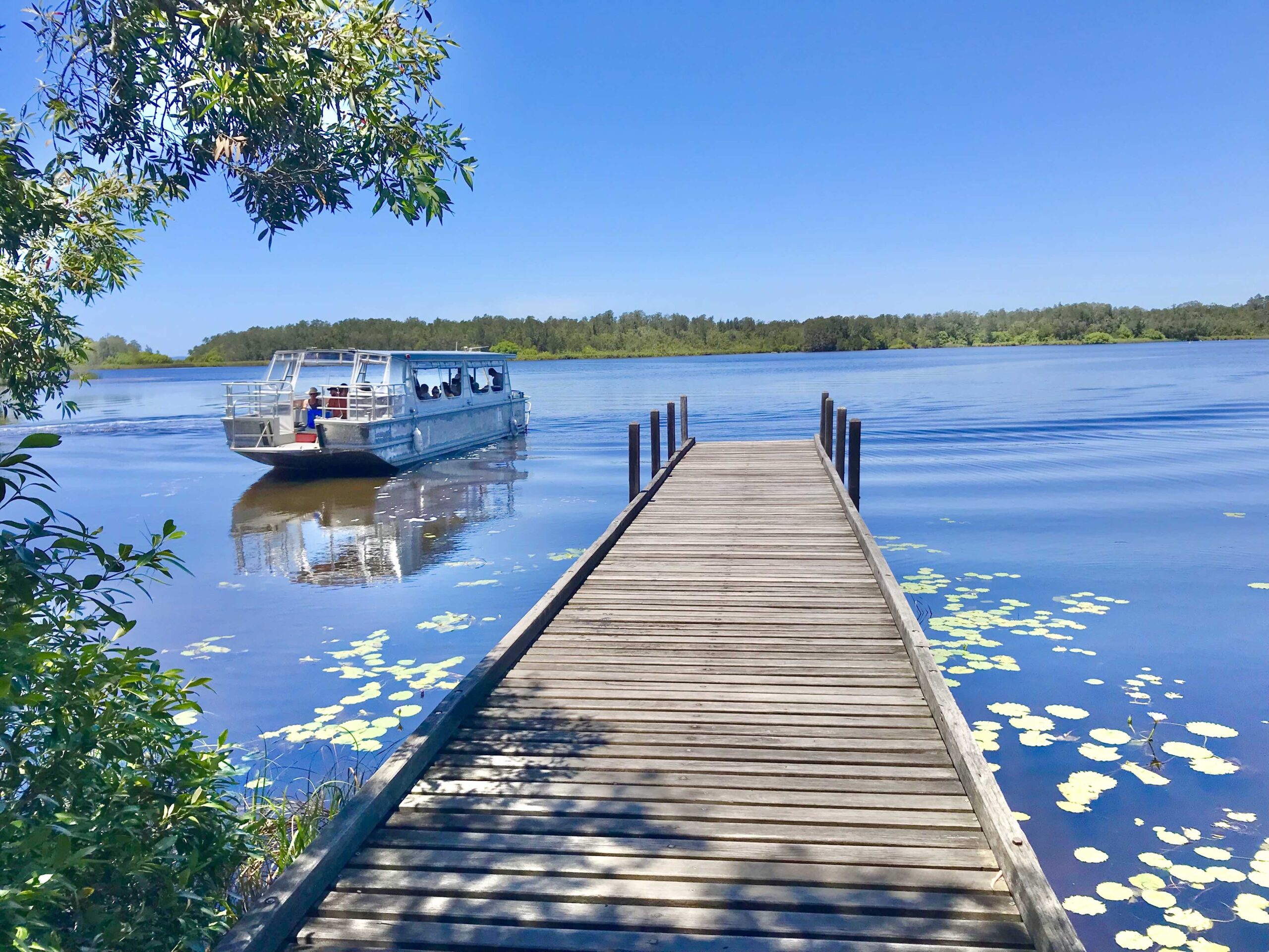 Noosa Everglades and Hinterland Tour