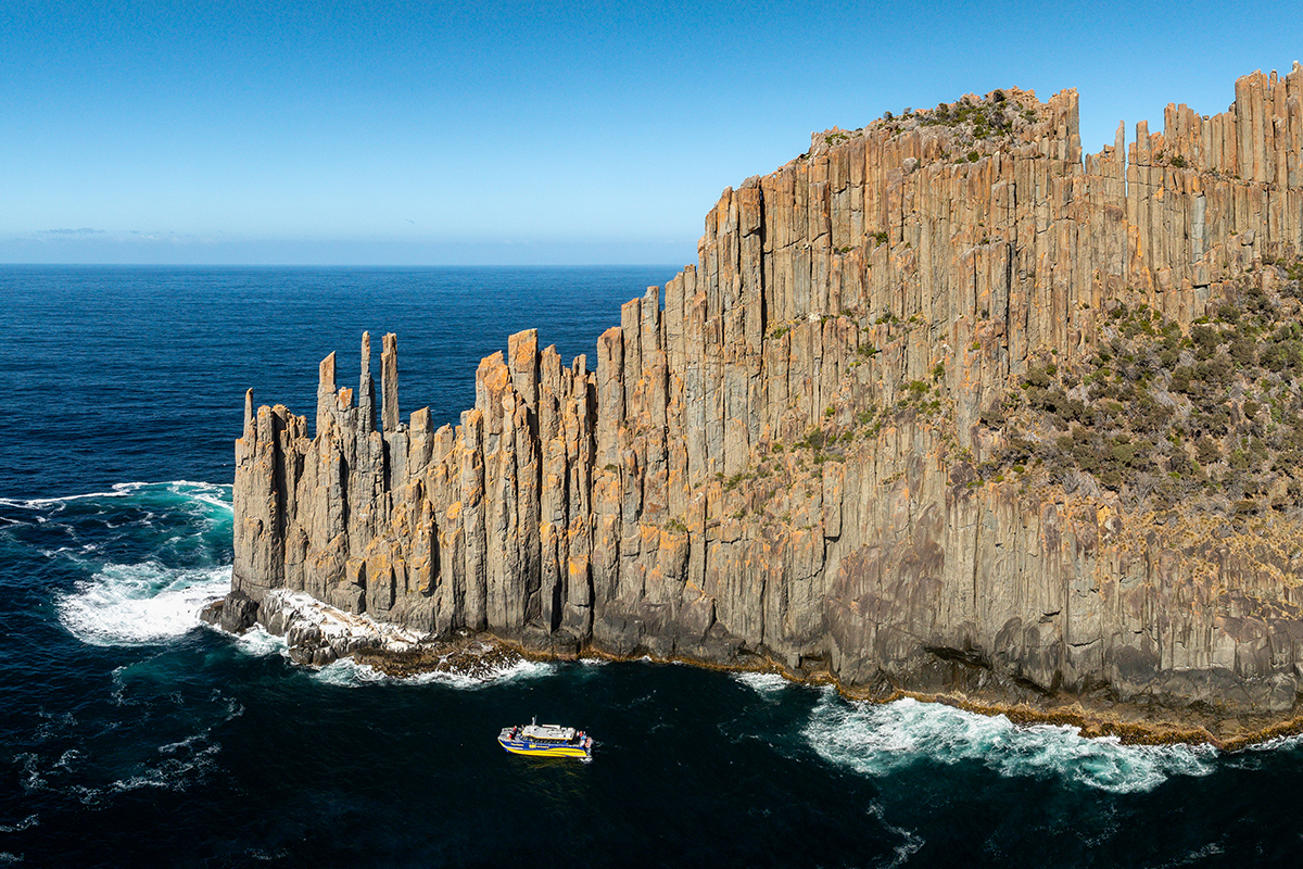 Cape Raoul Cruises Day Tour from Hobart (includes Port Arthur Historic Site)