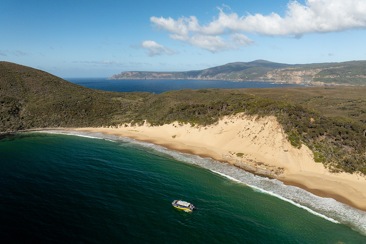 Cape Raoul Cruises Day Tour from Hobart (includes Port Arthur Historic Site)