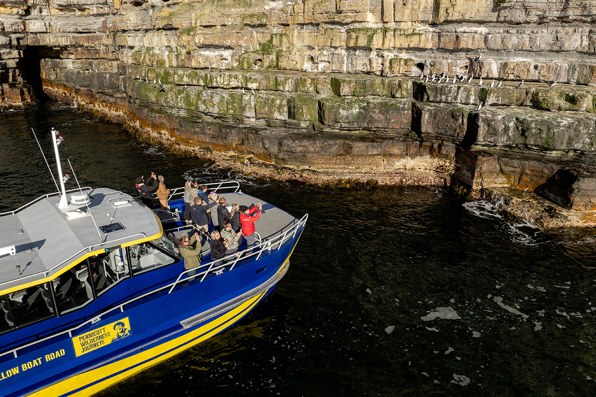 Cape Raoul Cruises (includes Port Arthur Historic Site entry)