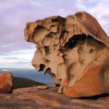 Kangaroo Island Shore Excursion Scenic Tour - For Cruise Ship Passengers Only