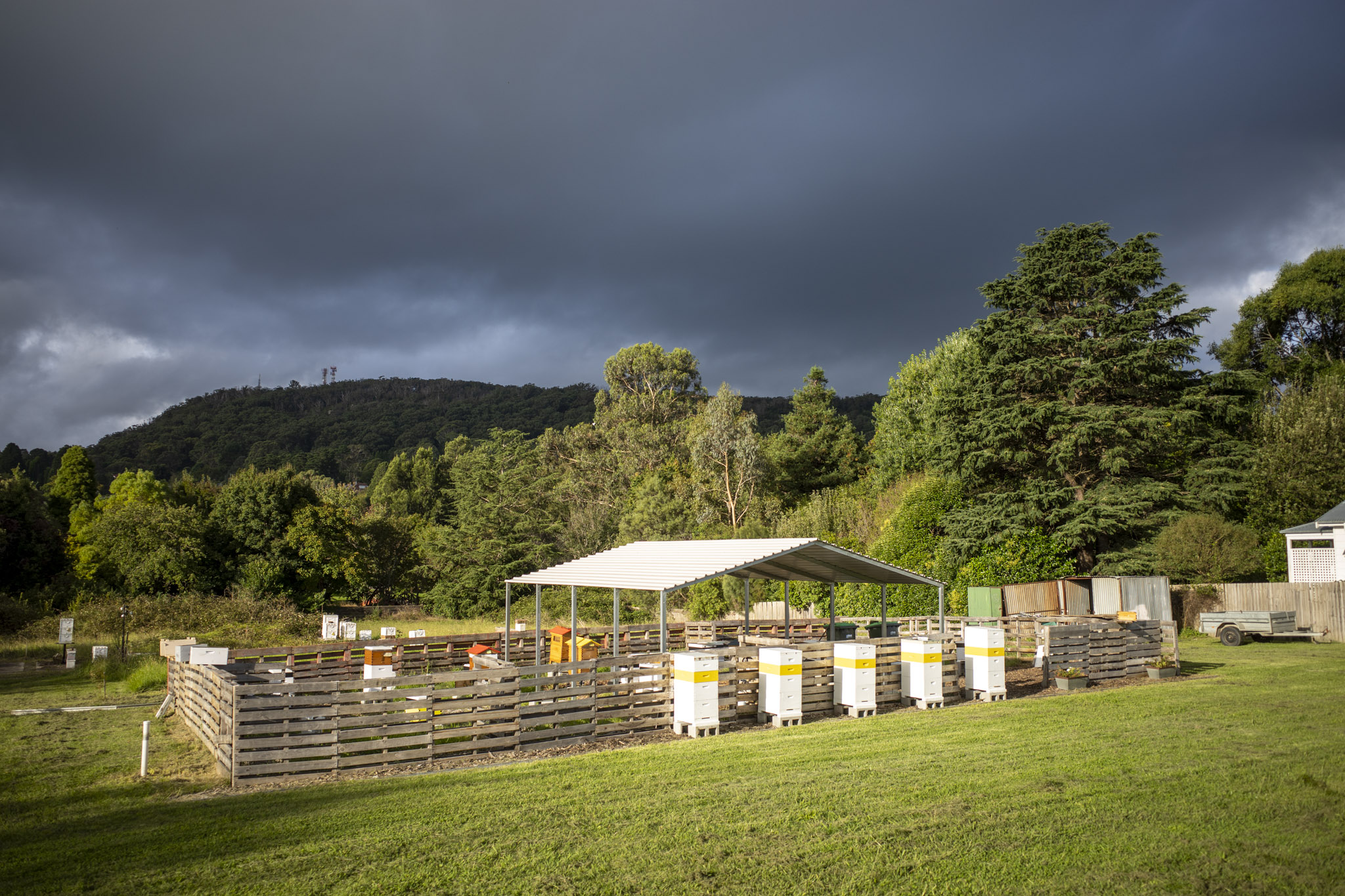 Honey Farm Tour and Honey Tasting