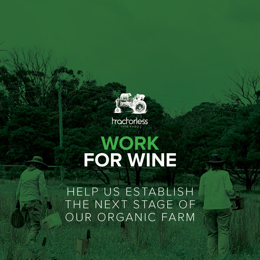 Work For Wine