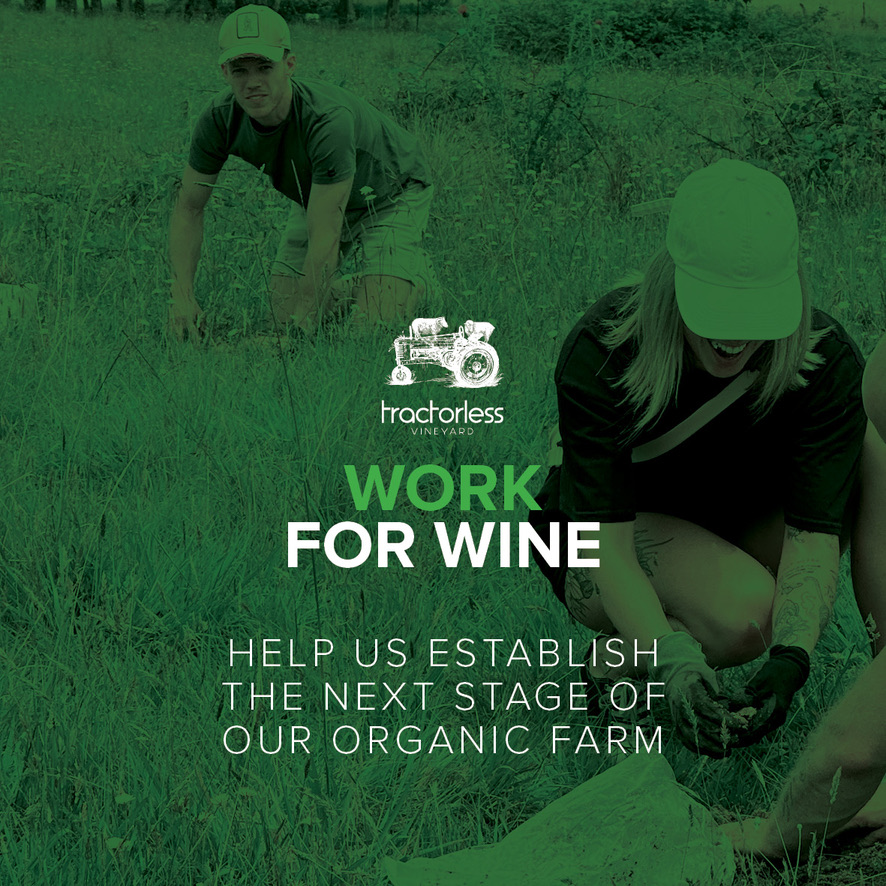 Work For Wine