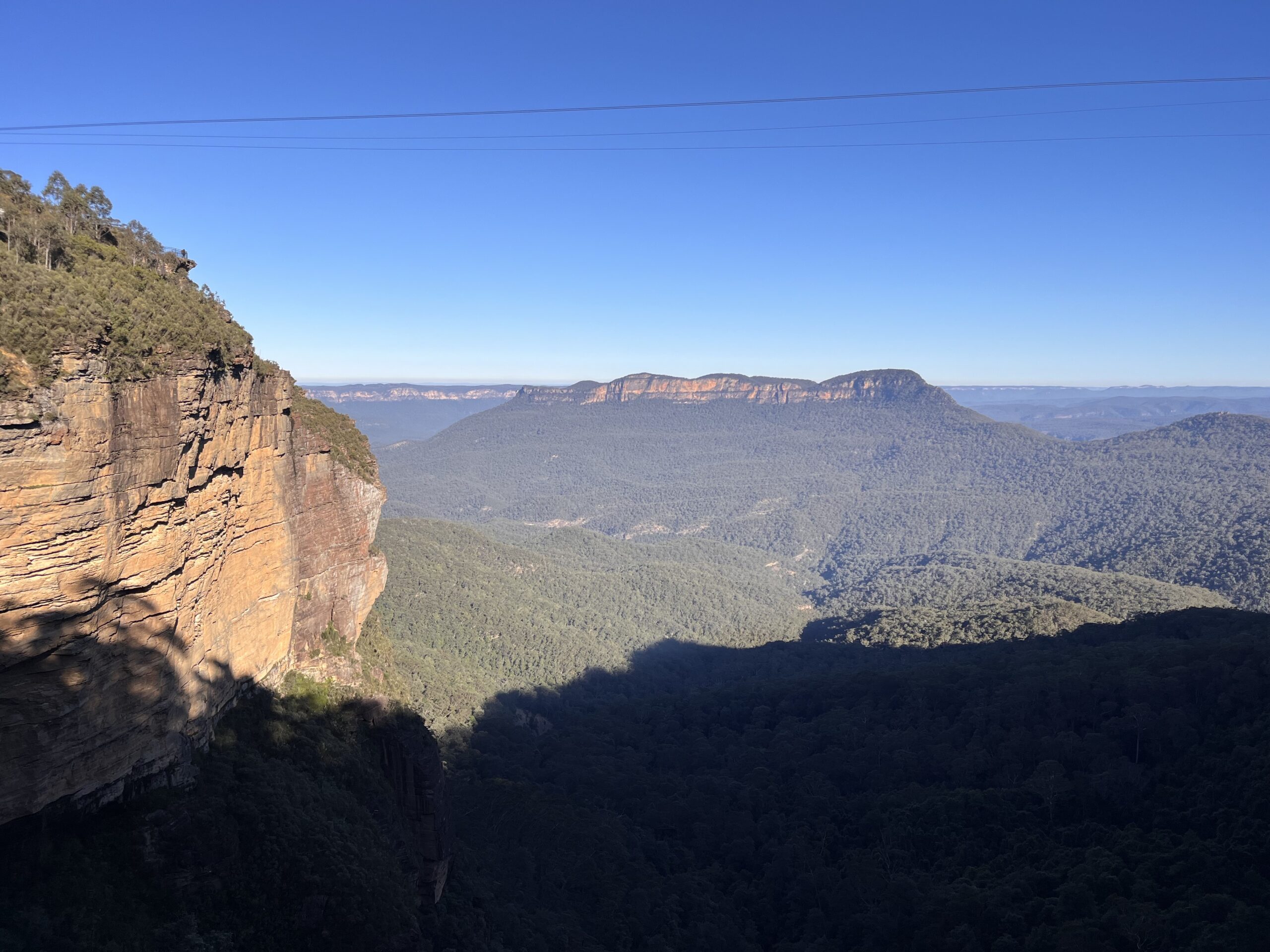 Australian Flora and Fauna Day Tour in the Blue Mountains