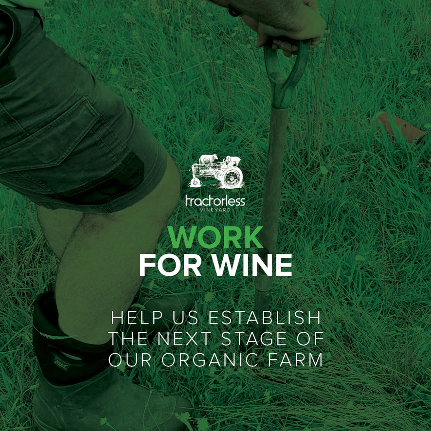 Work For Wine