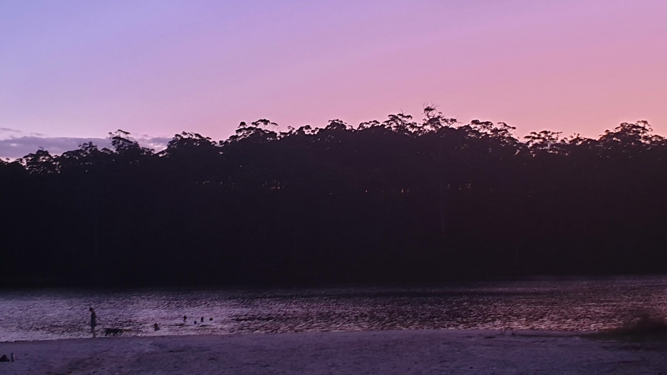 Big Brook Dam Twilight Stroll