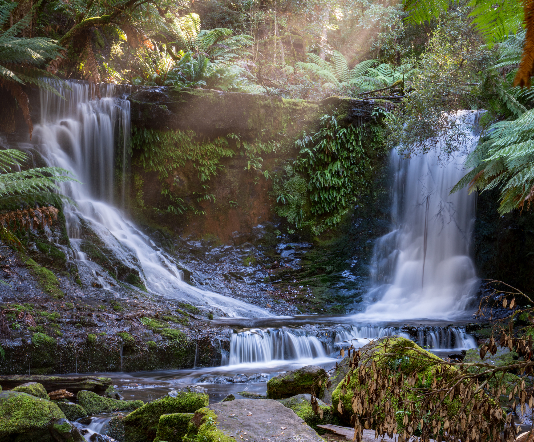 2 Day Tasmanian Highlights Tour – Bruny Island & Mt Field to MONA