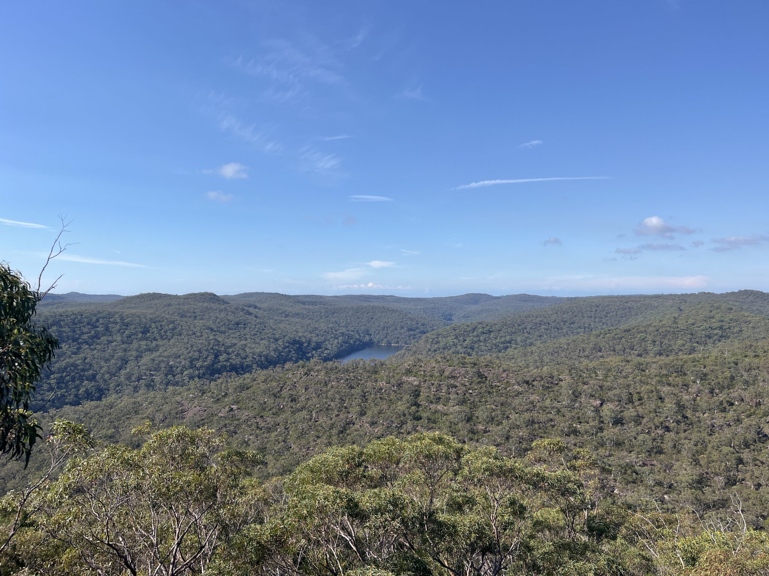 Full-Day Sydney’s Northern Beaches and Ku-ring-gai Chase National Park Tour