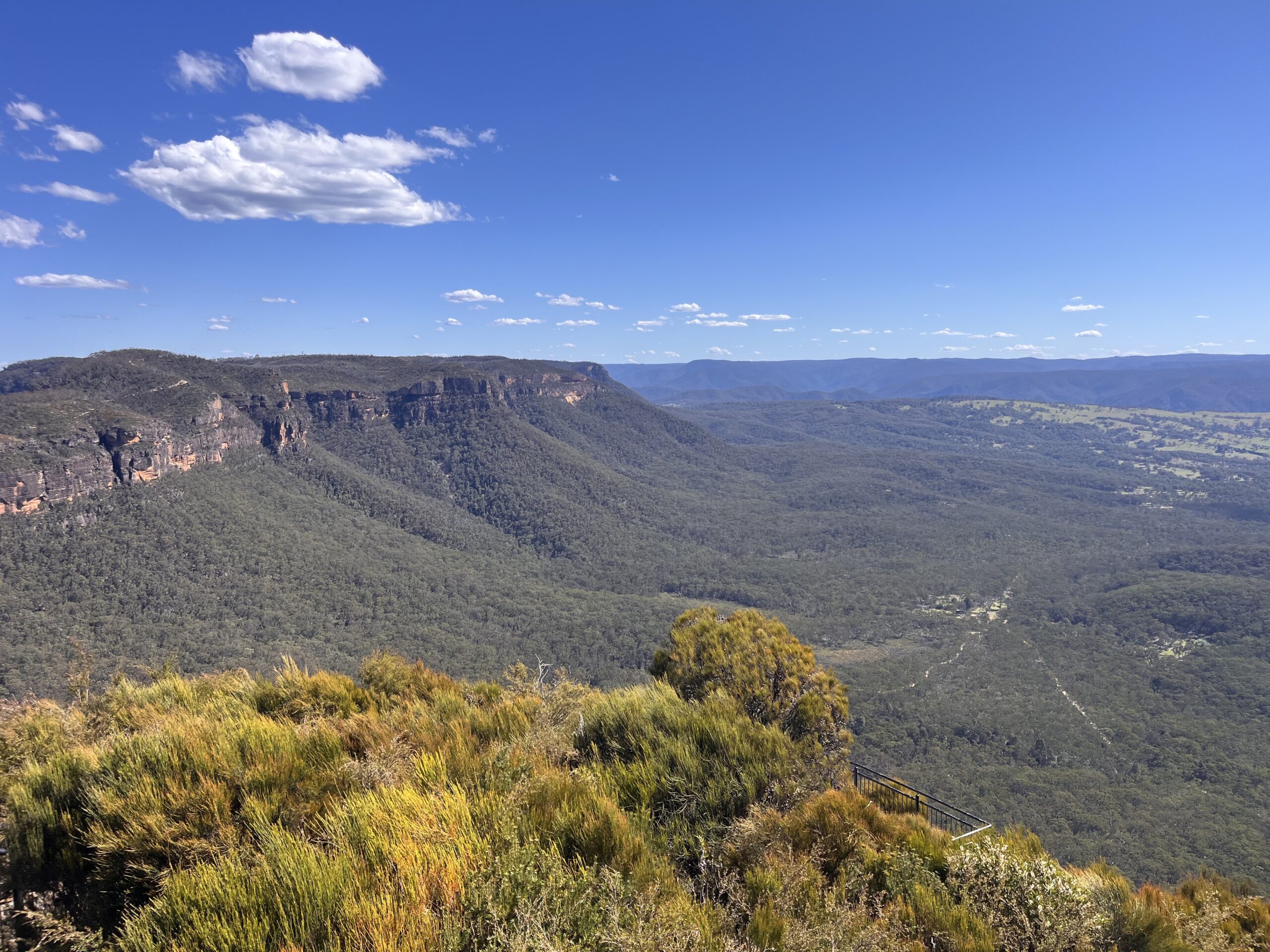 Australian Flora and Fauna Day Tour in the Blue Mountains