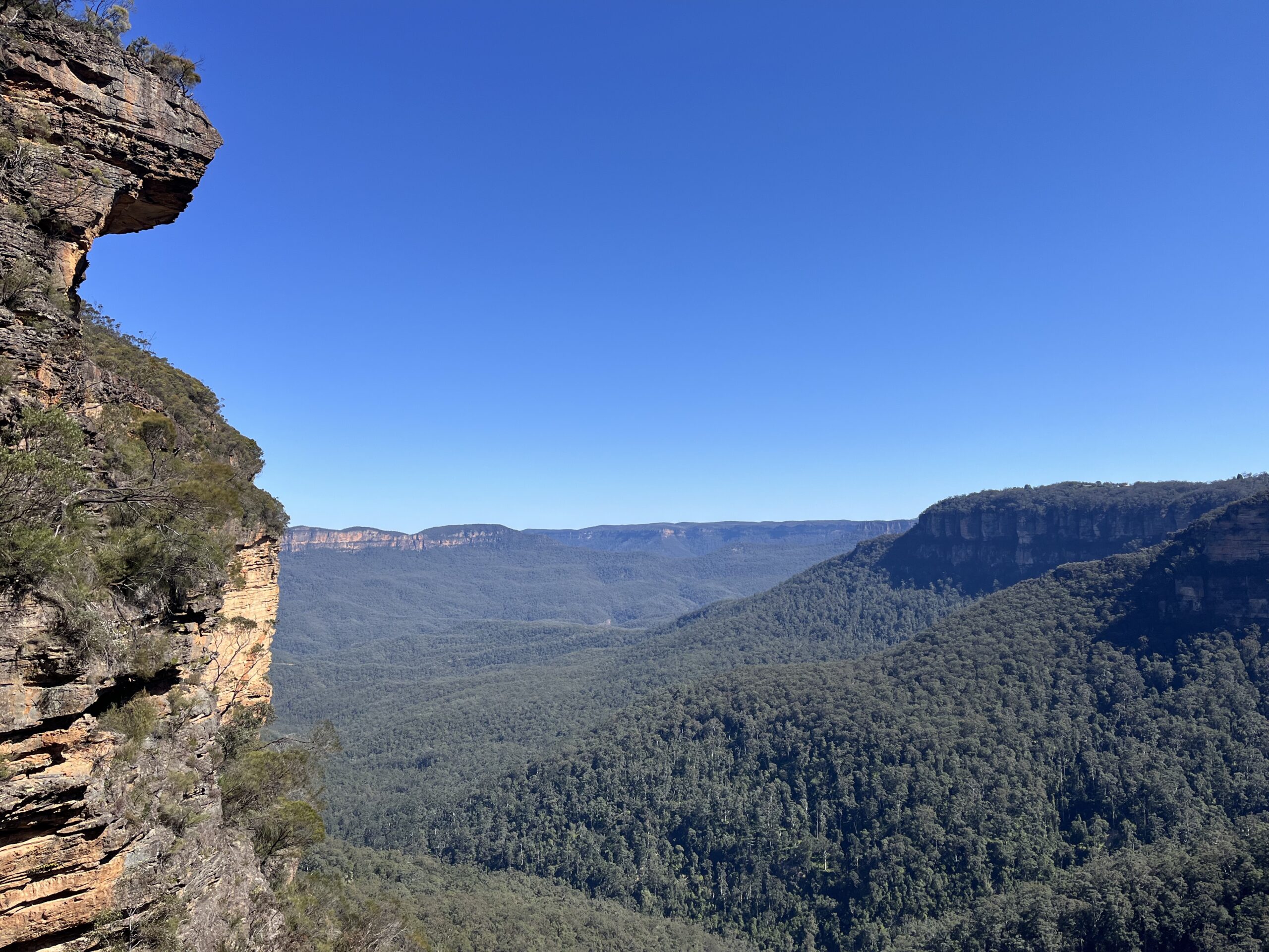 Australian Flora and Fauna Day Tour in the Blue Mountains