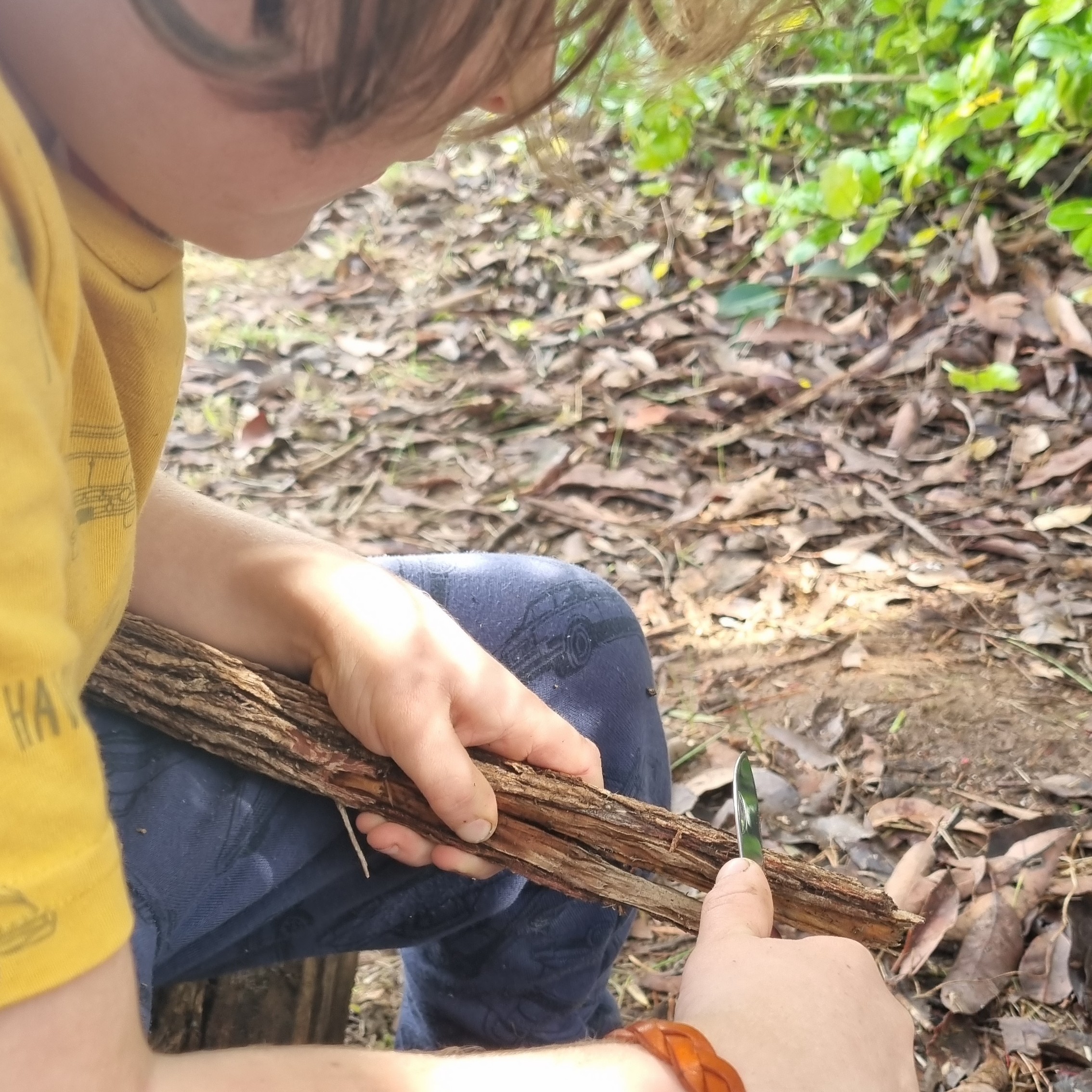 Karri Forest Bush Skills Adventure Workshop