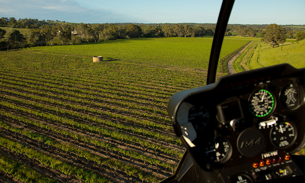 TASTE OF FLIGHT – 4 Minute Scenic Flight