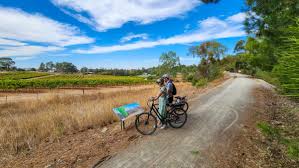 Watervale Riesling Trail full day e-bike ride