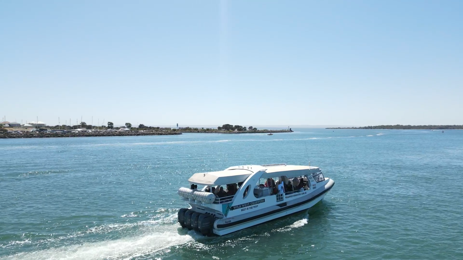 Dolphin Quay Cruise With Lunch!