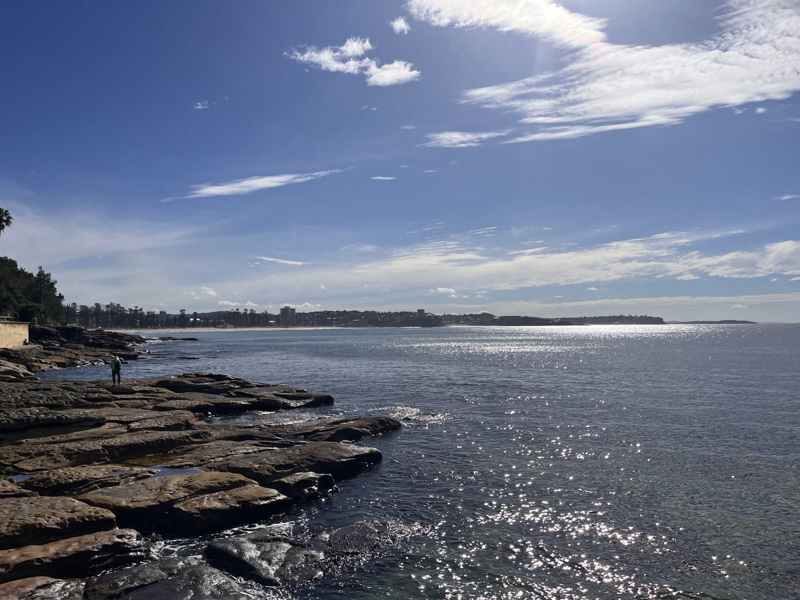 Full-Day Sydney’s Northern Beaches and Ku-ring-gai Chase National Park Tour