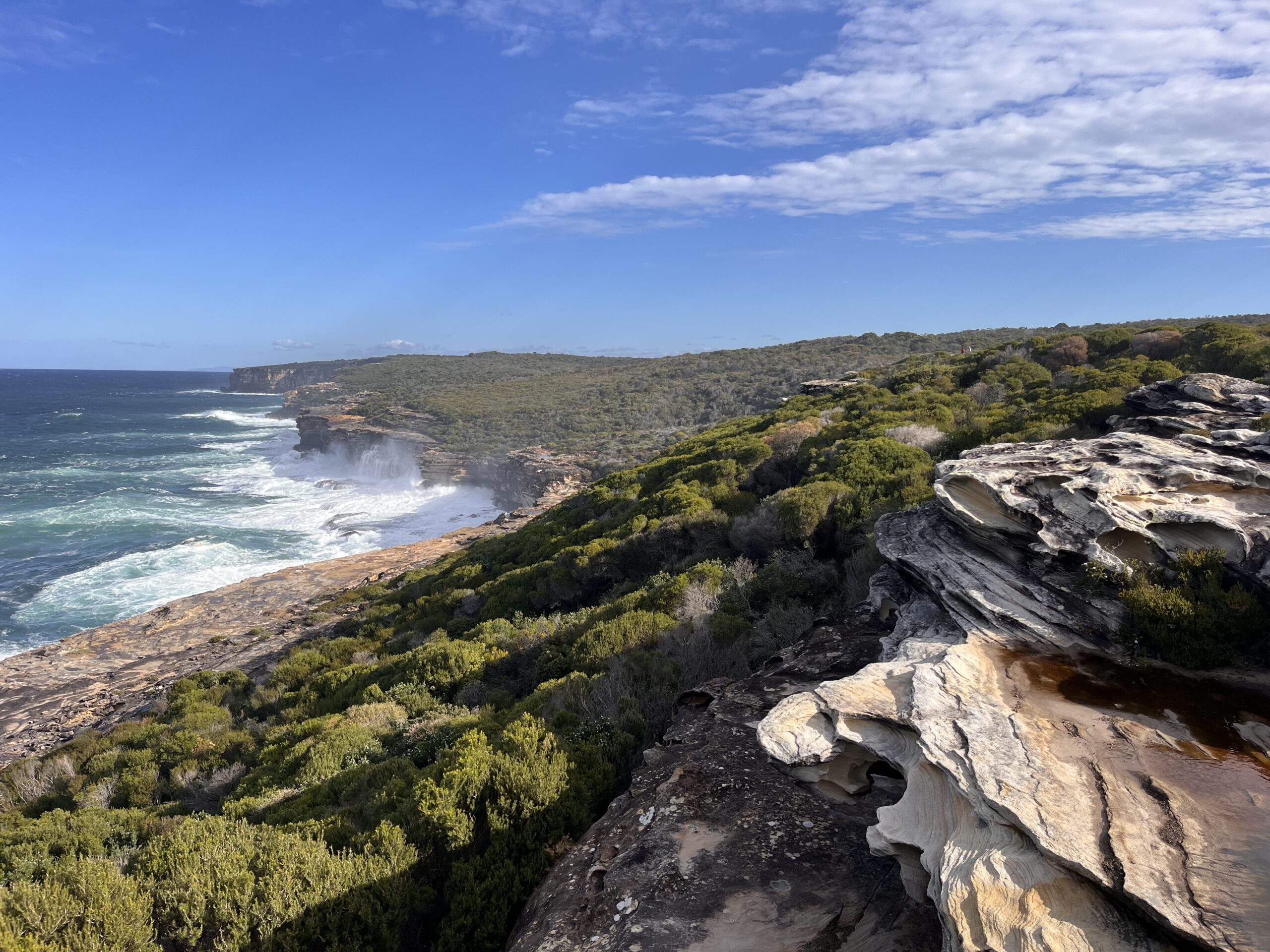 Full-Day Sydney’s Northern Beaches and Ku-ring-gai Chase National Park Tour