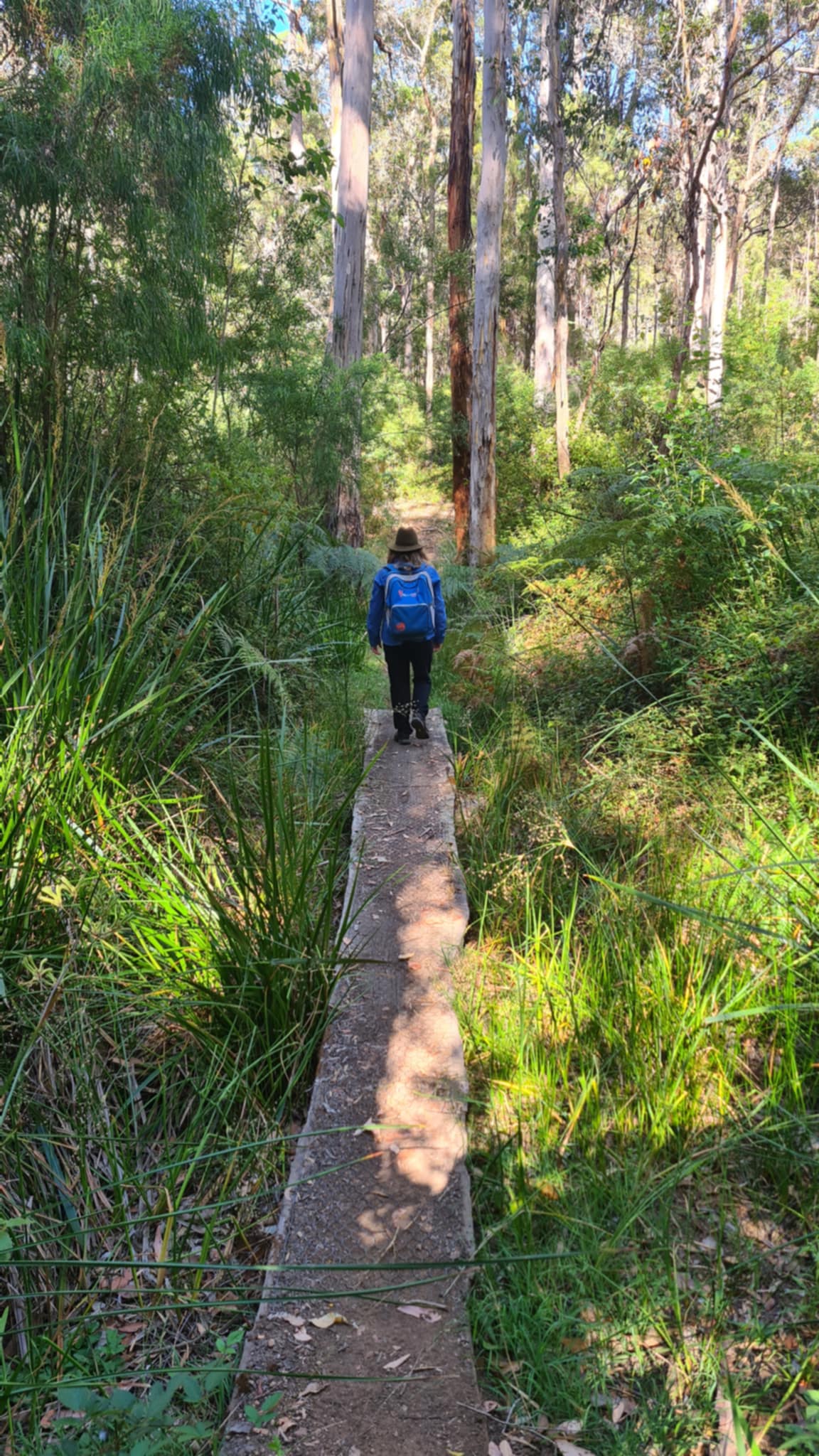 Gloucester Forest Hiking Experience