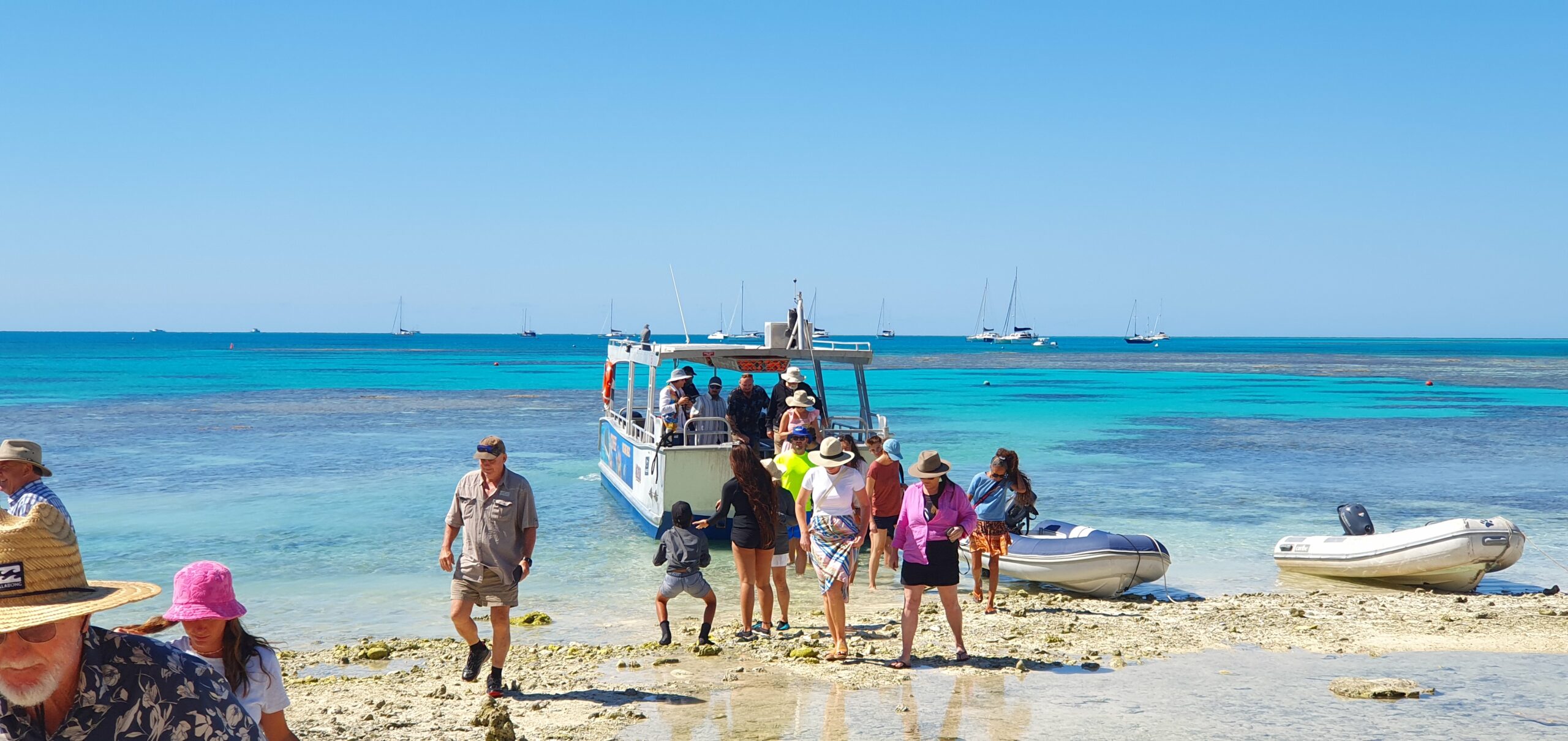 Day Tour to Lady Musgrave Island - (25/26)