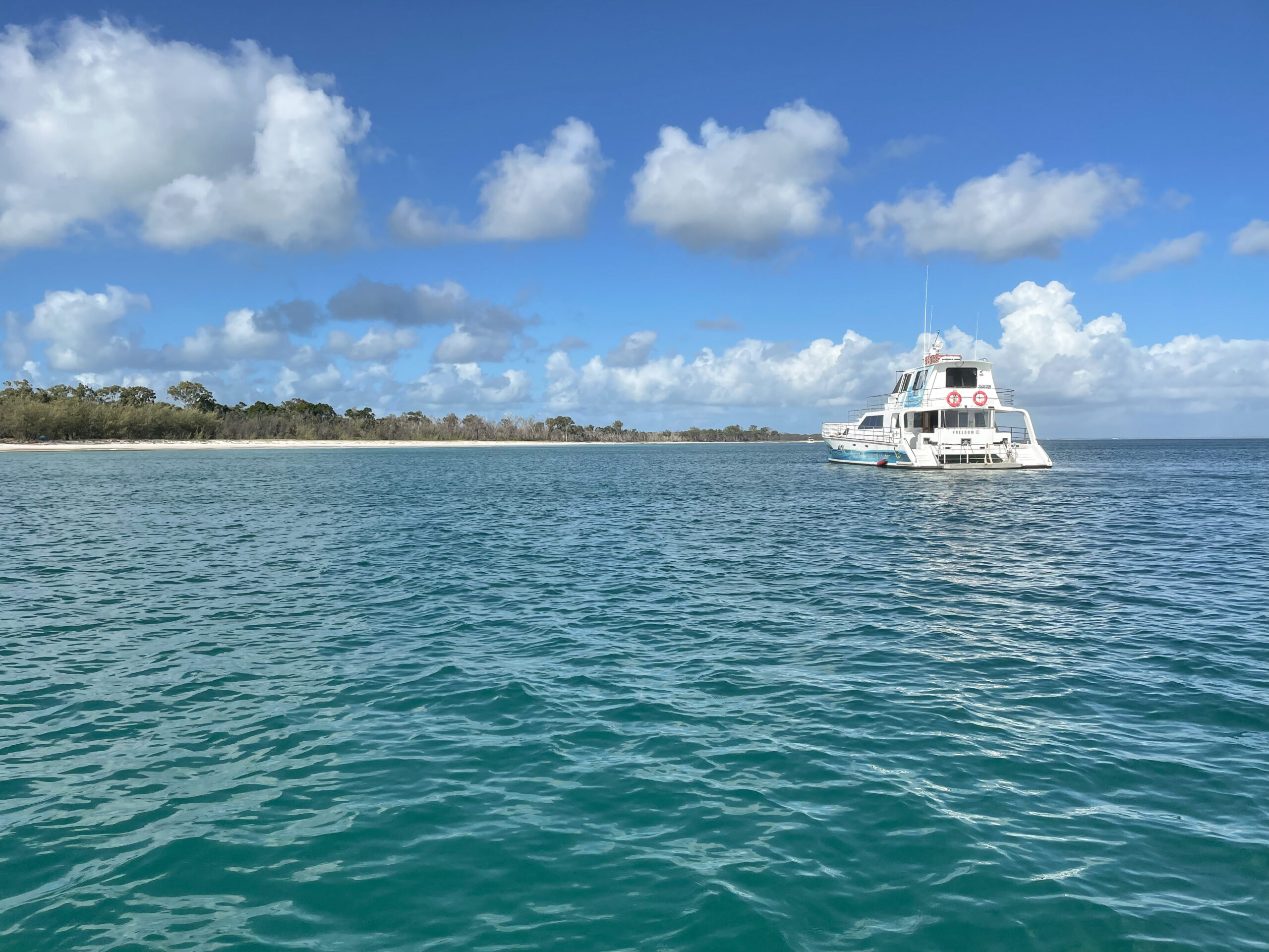 Freedom Skippered Boat Charter - Half Day K'gari and Hervey Bay
