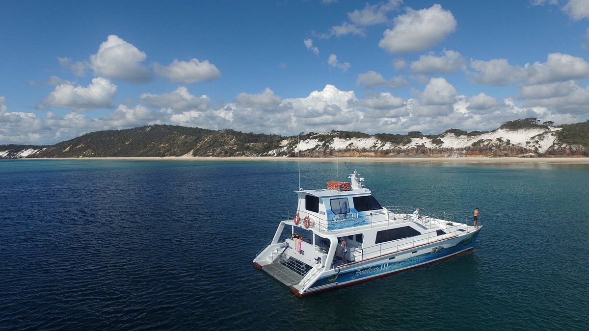 Freedom Skippered Boat Charter - Half Day K'gari and Hervey Bay