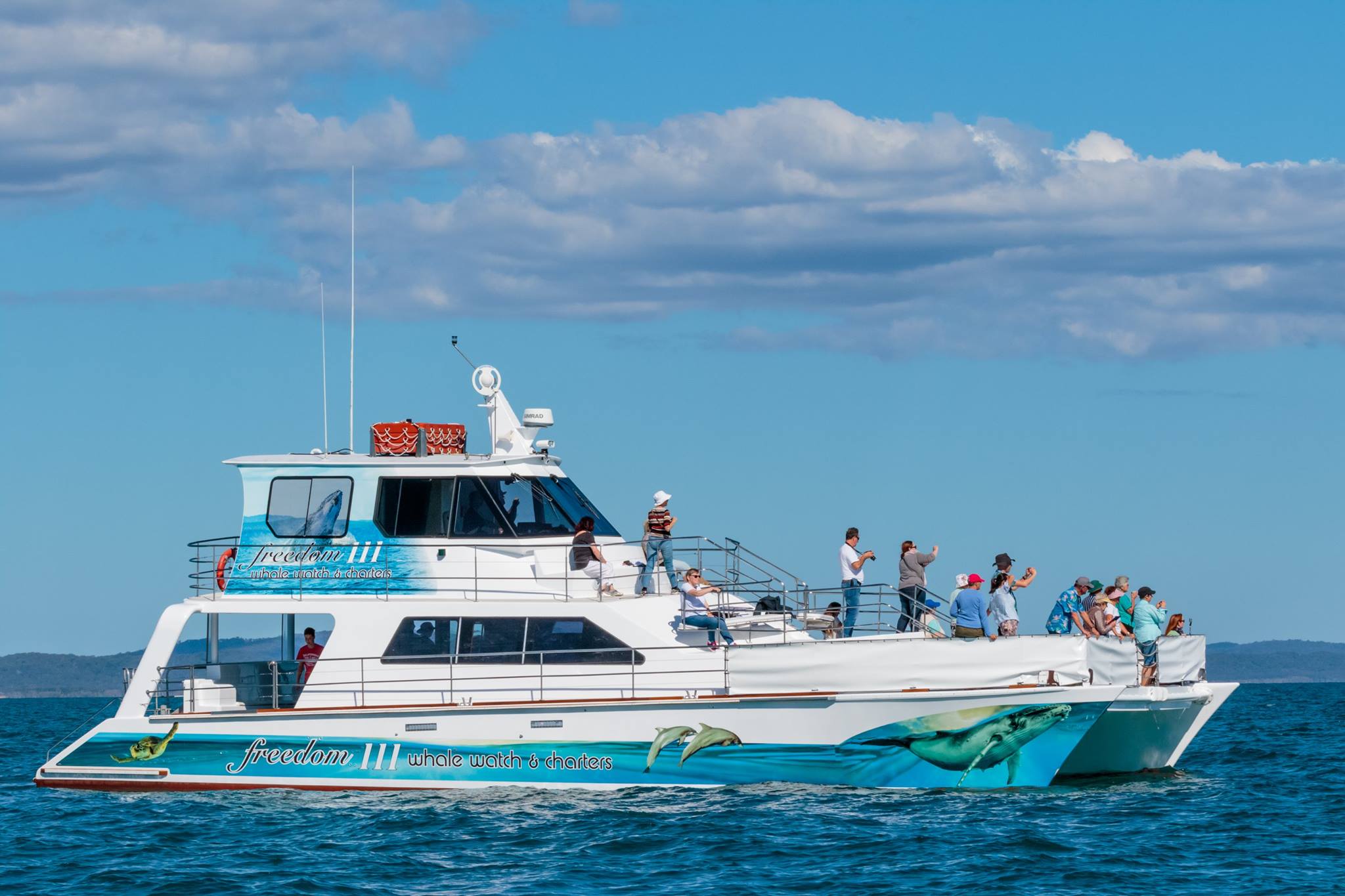 Freedom Skippered Boat Charter - Half Day K'gari and Hervey Bay