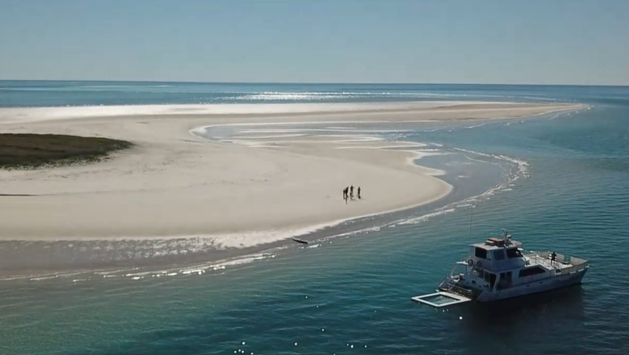 Freedom Skippered Boat Charter - Half Day K'gari and Hervey Bay