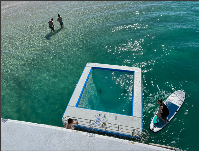 Freedom Skippered Boat Charter - Half Day K'gari and Hervey Bay