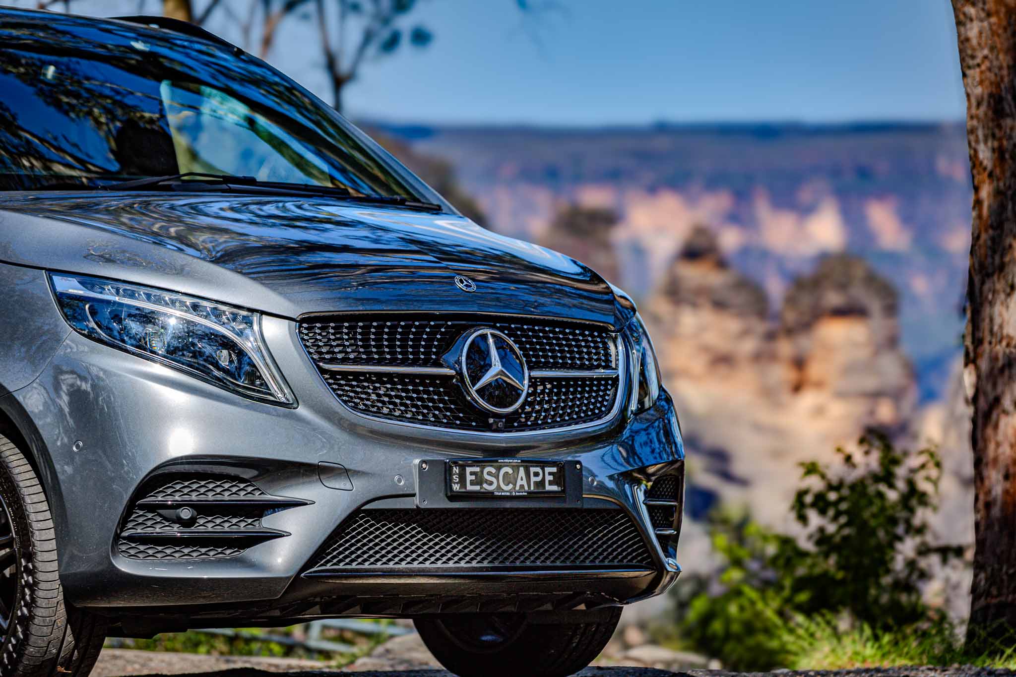 Private Half Day Blue Mountains Tour