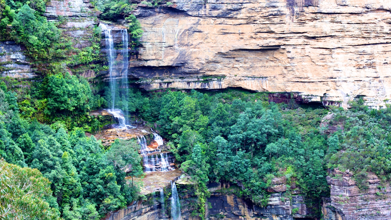 Private Half Day Blue Mountains Tour