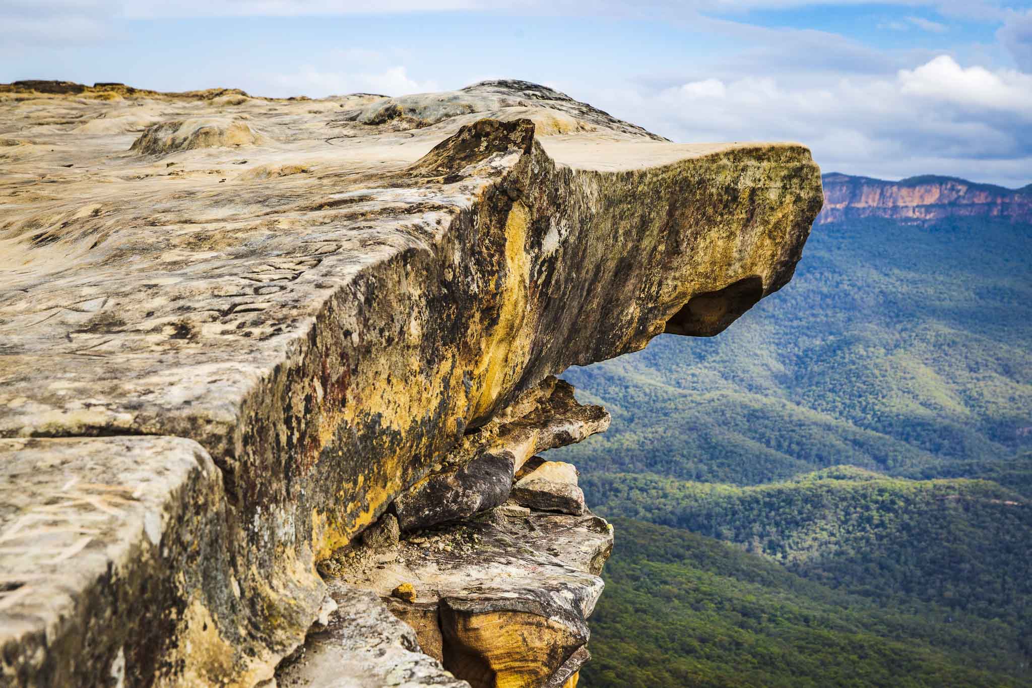 Private Half Day Blue Mountains Tour