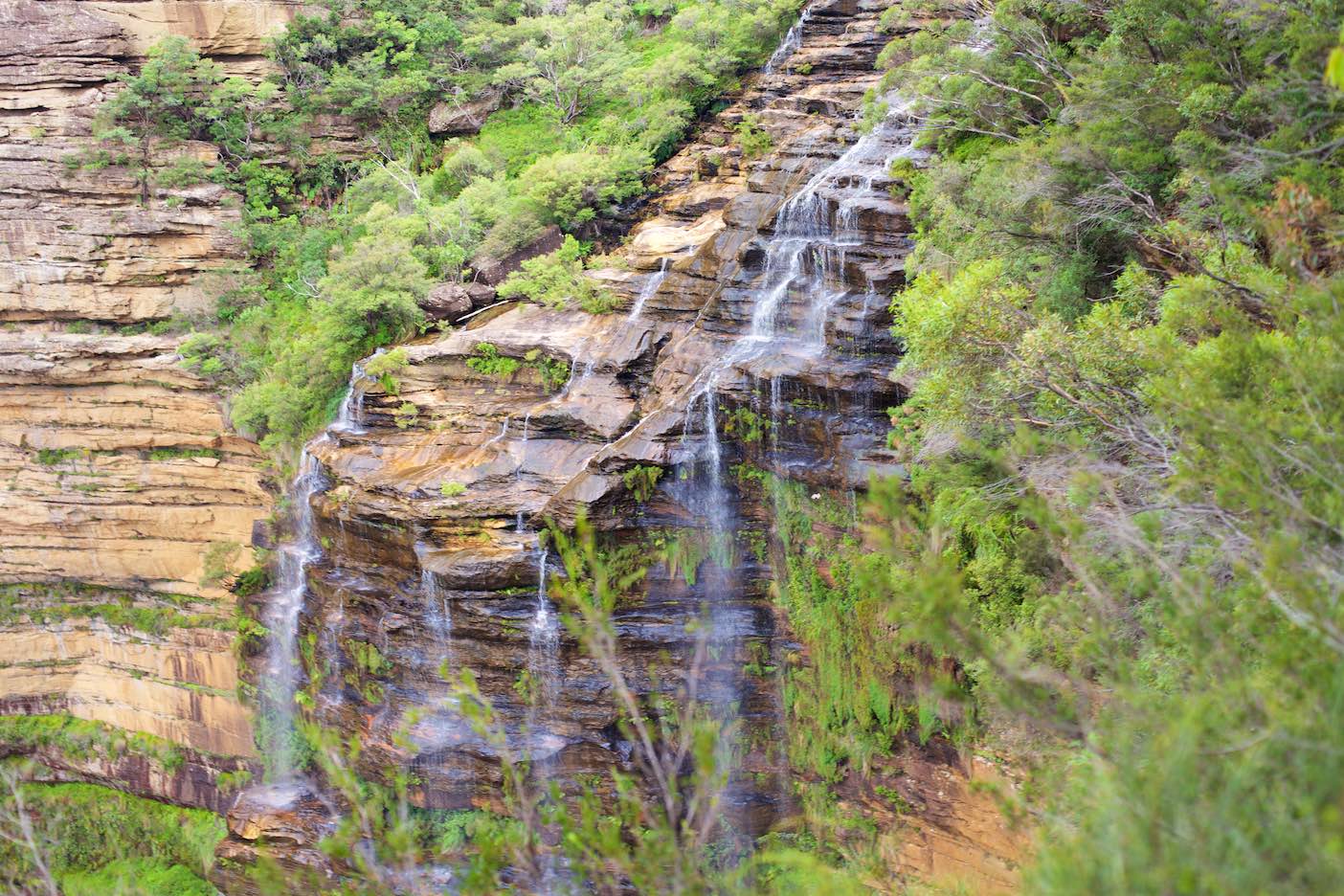 Private Half Day Blue Mountains Tour