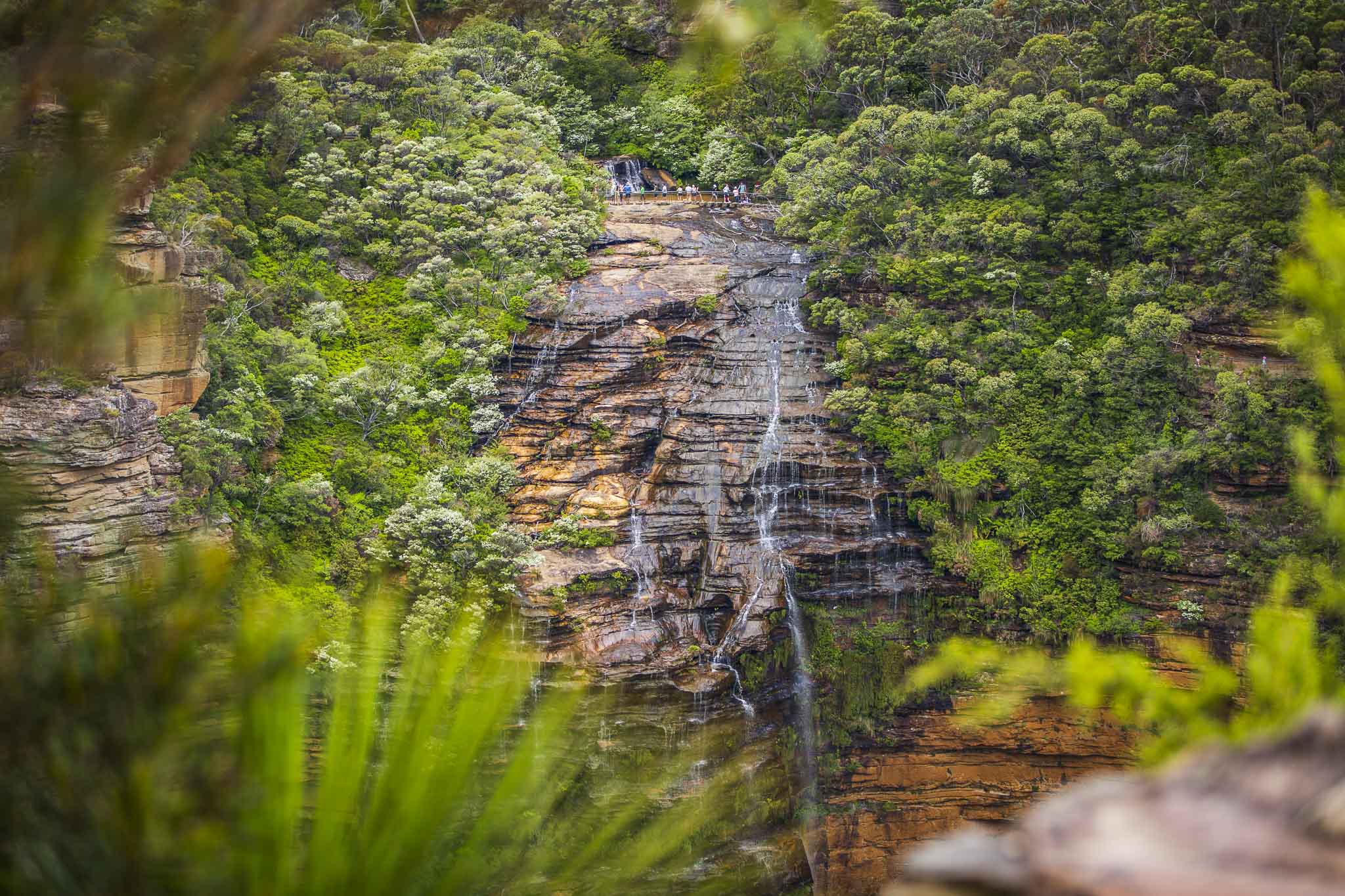 Private Half Day Blue Mountains Tour