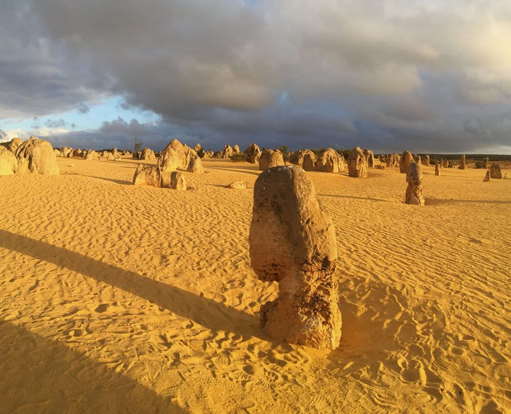 Pinnacles Tour -Cruise Ship Edition-