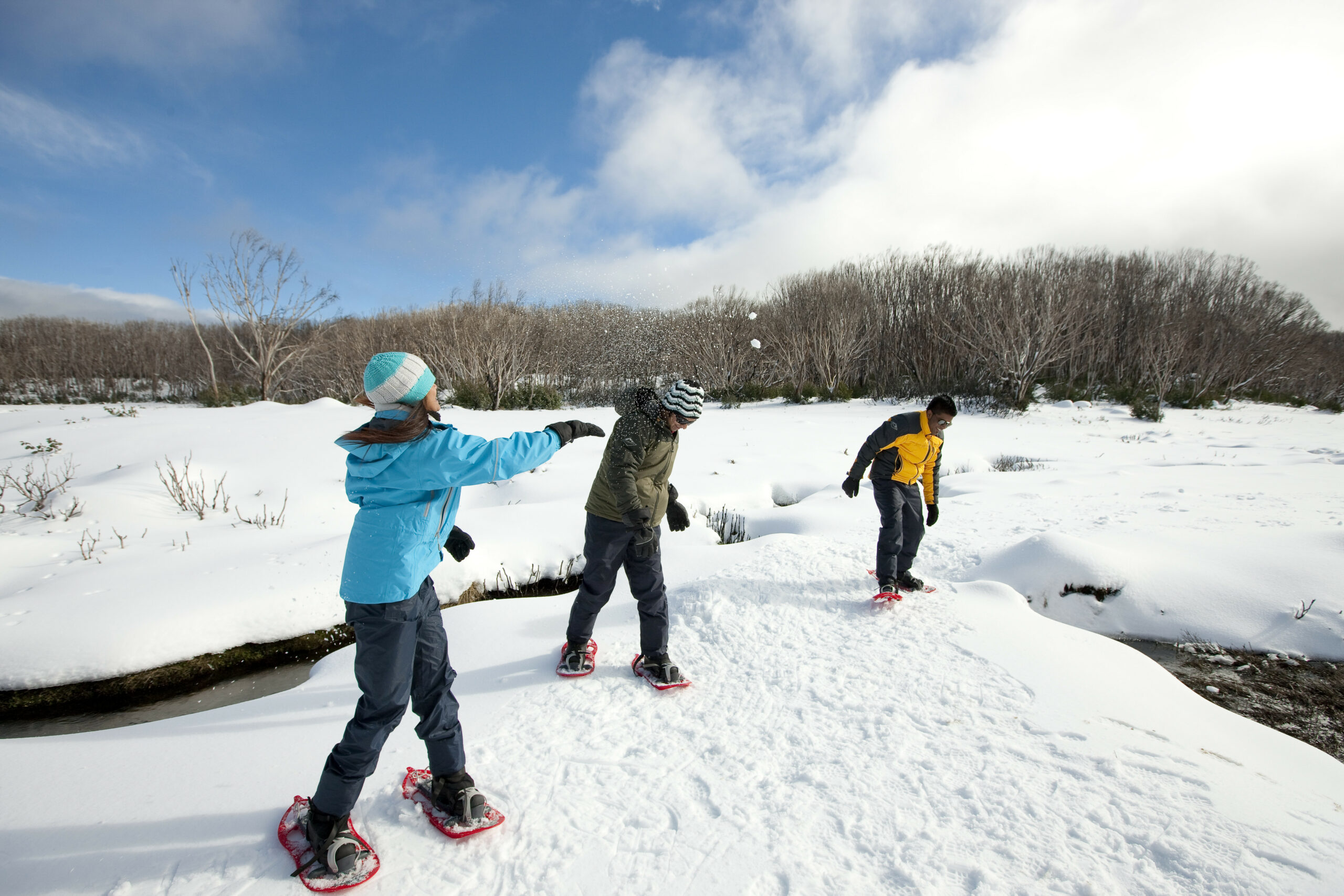 Lake Mountain Snow Play & Waterfalls Tour (CPickup)