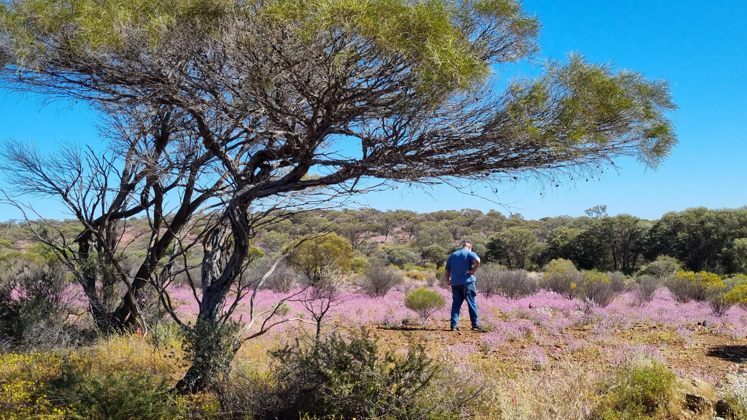 Discover the Best of the Goldfields Tours